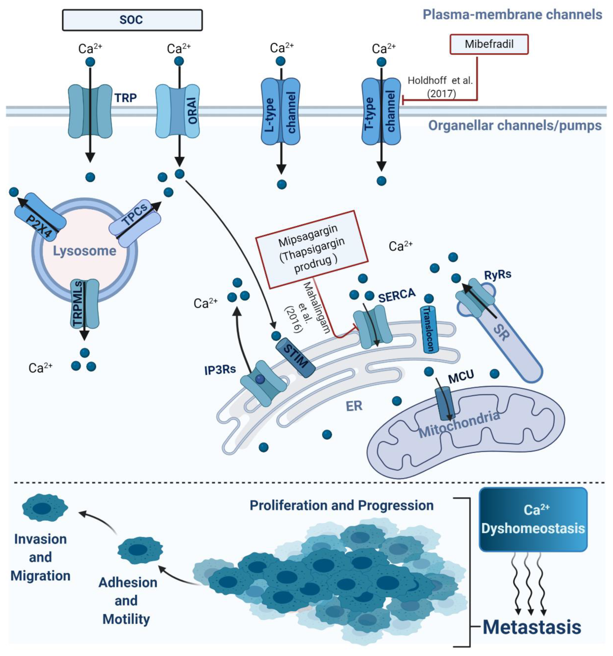 Cancers 13 00179 g001