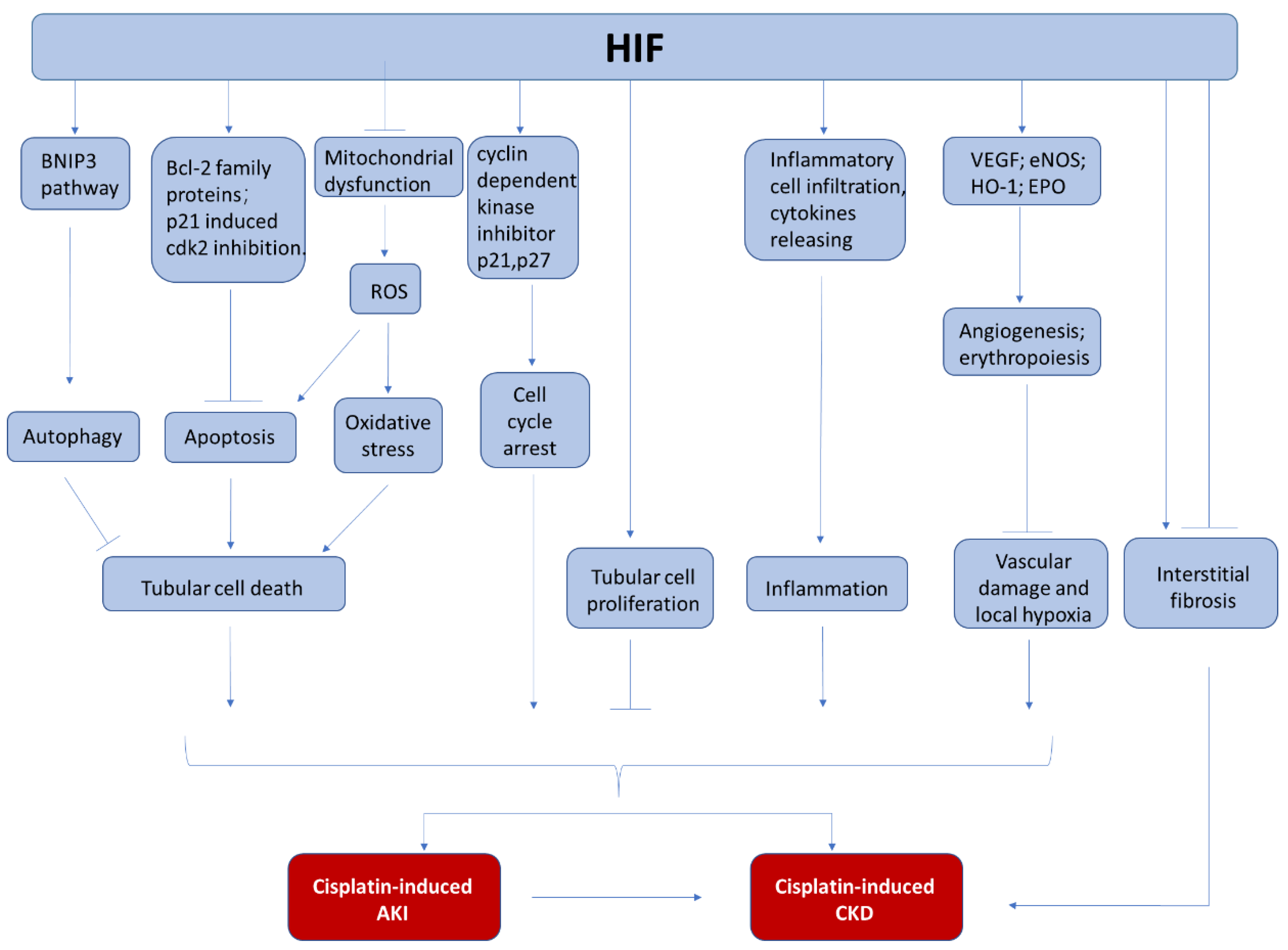 Cancers 13 00180 g002