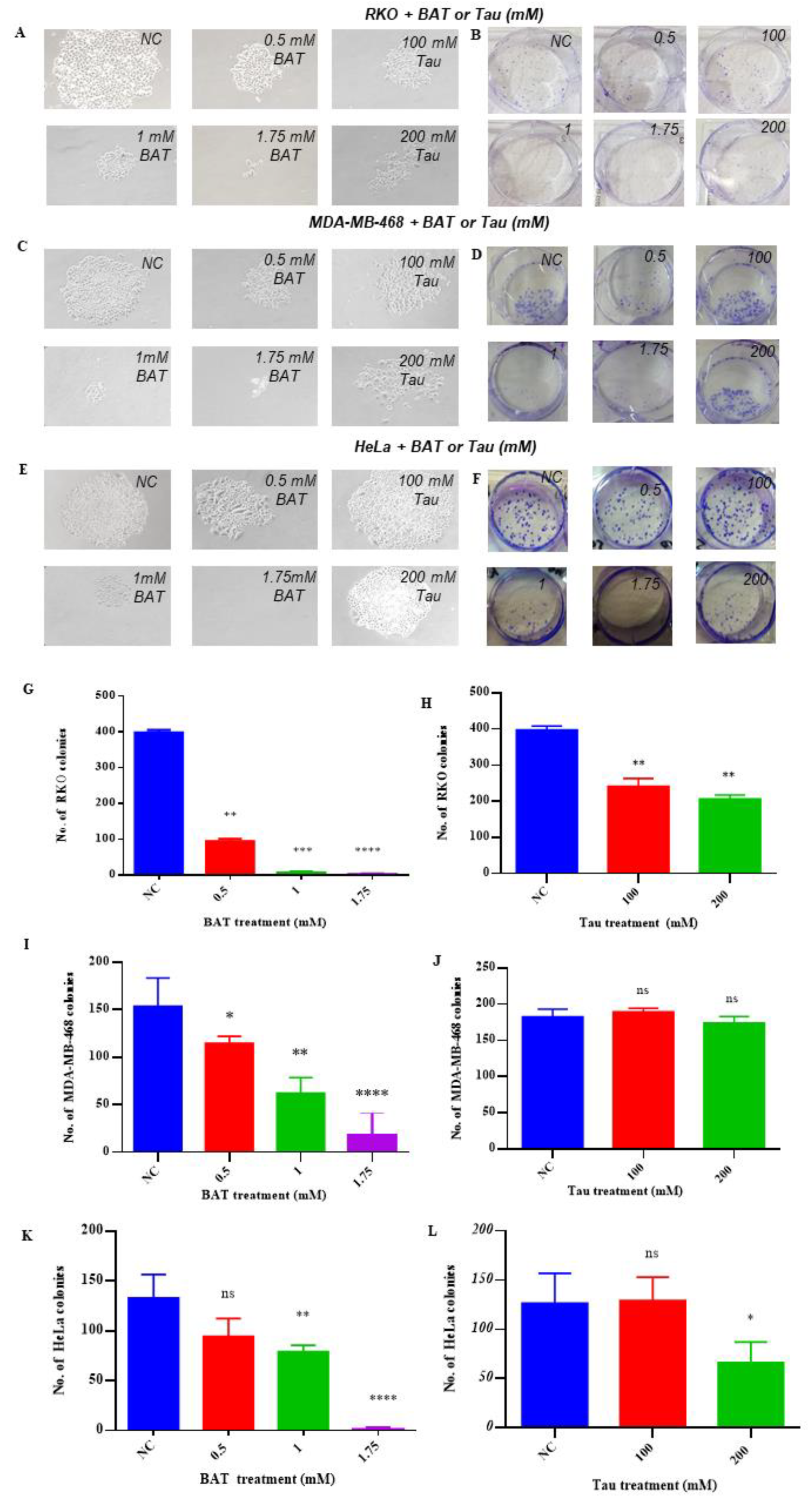 Cancers 13 00182 g004 Cancers 13 00182 g004