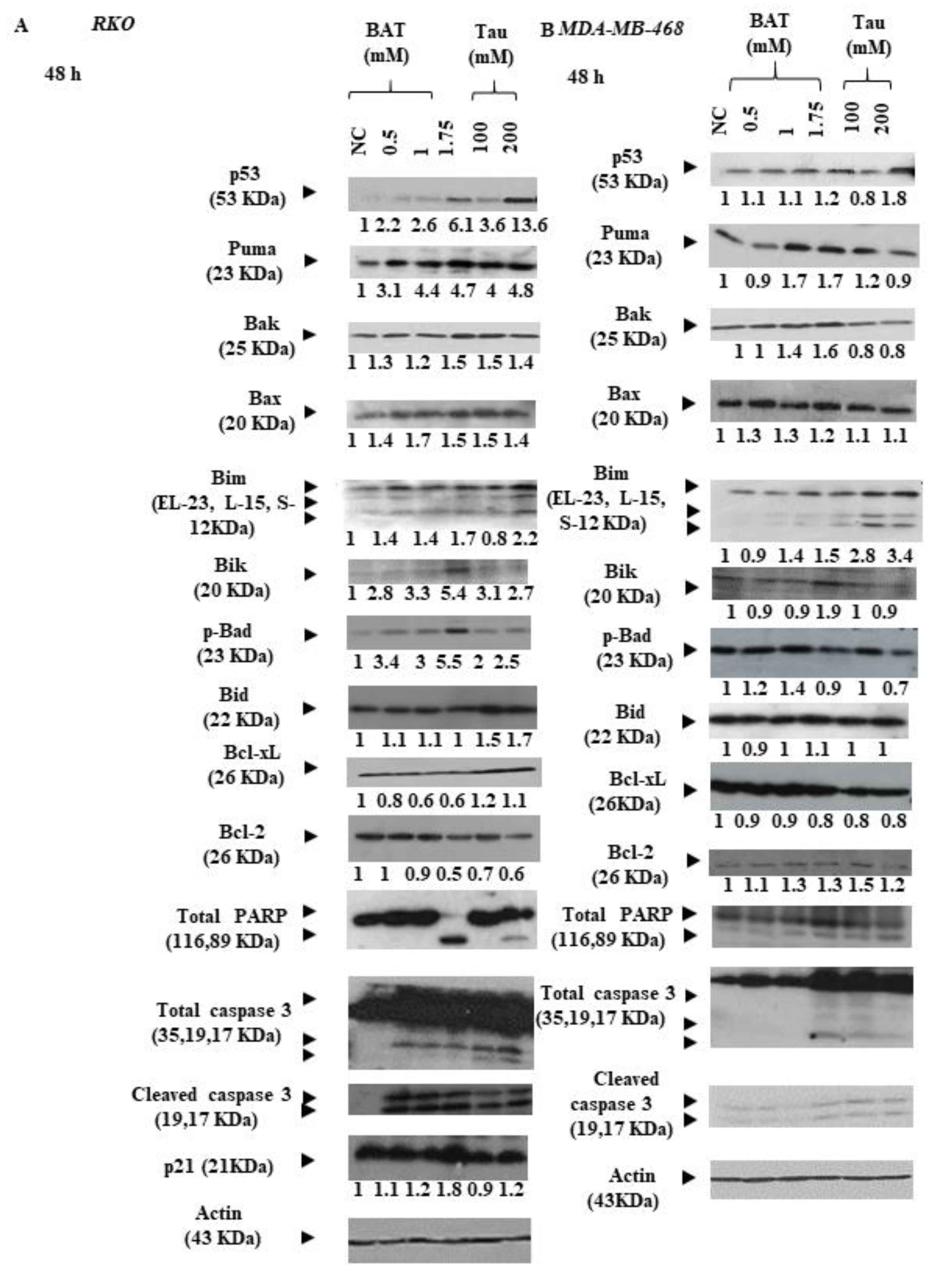 Cancers 13 00182 g006a Cancers 13 00182 g006a
