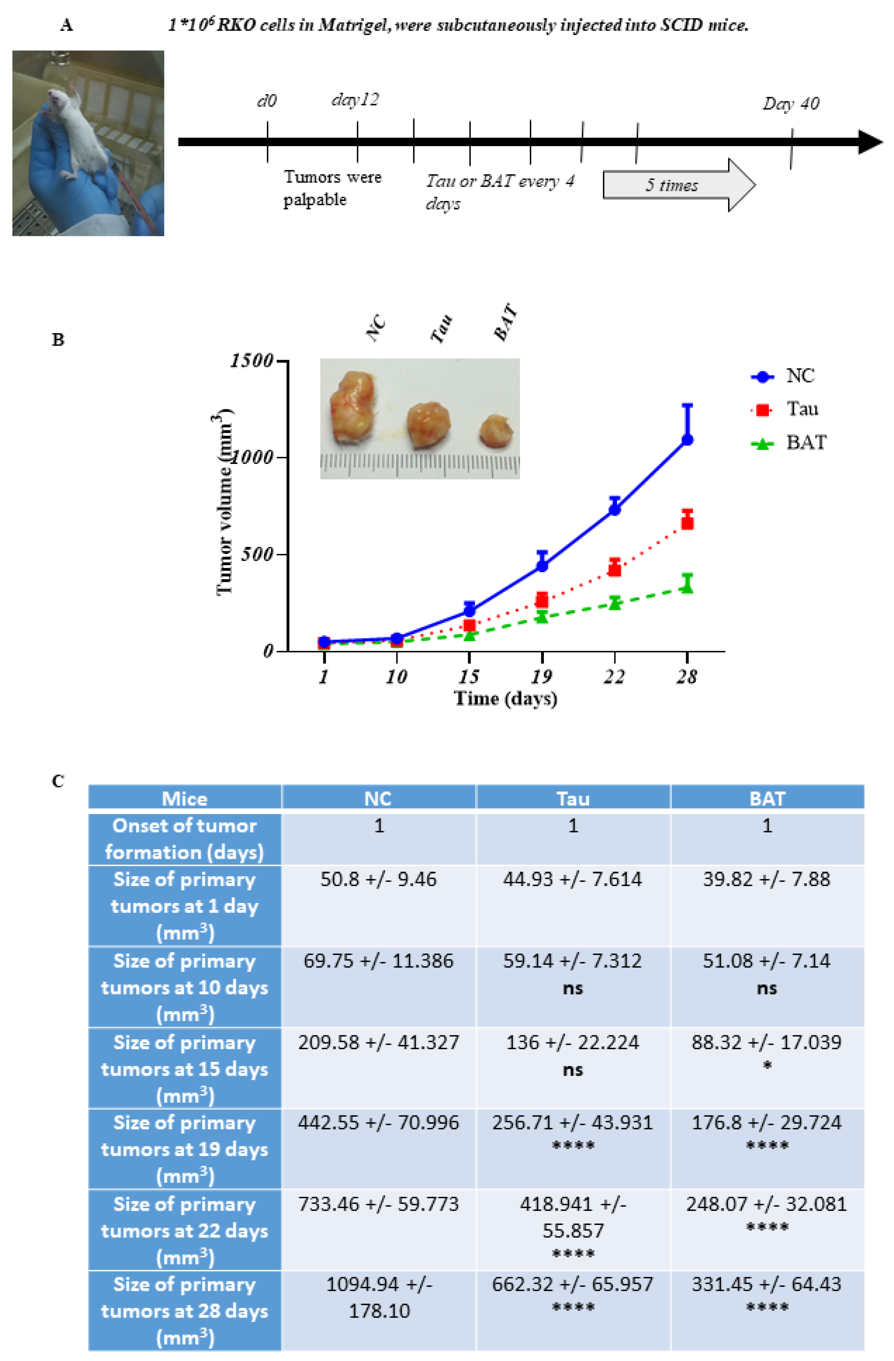 Cancers 13 00182 g009 Cancers 13 00182 g009