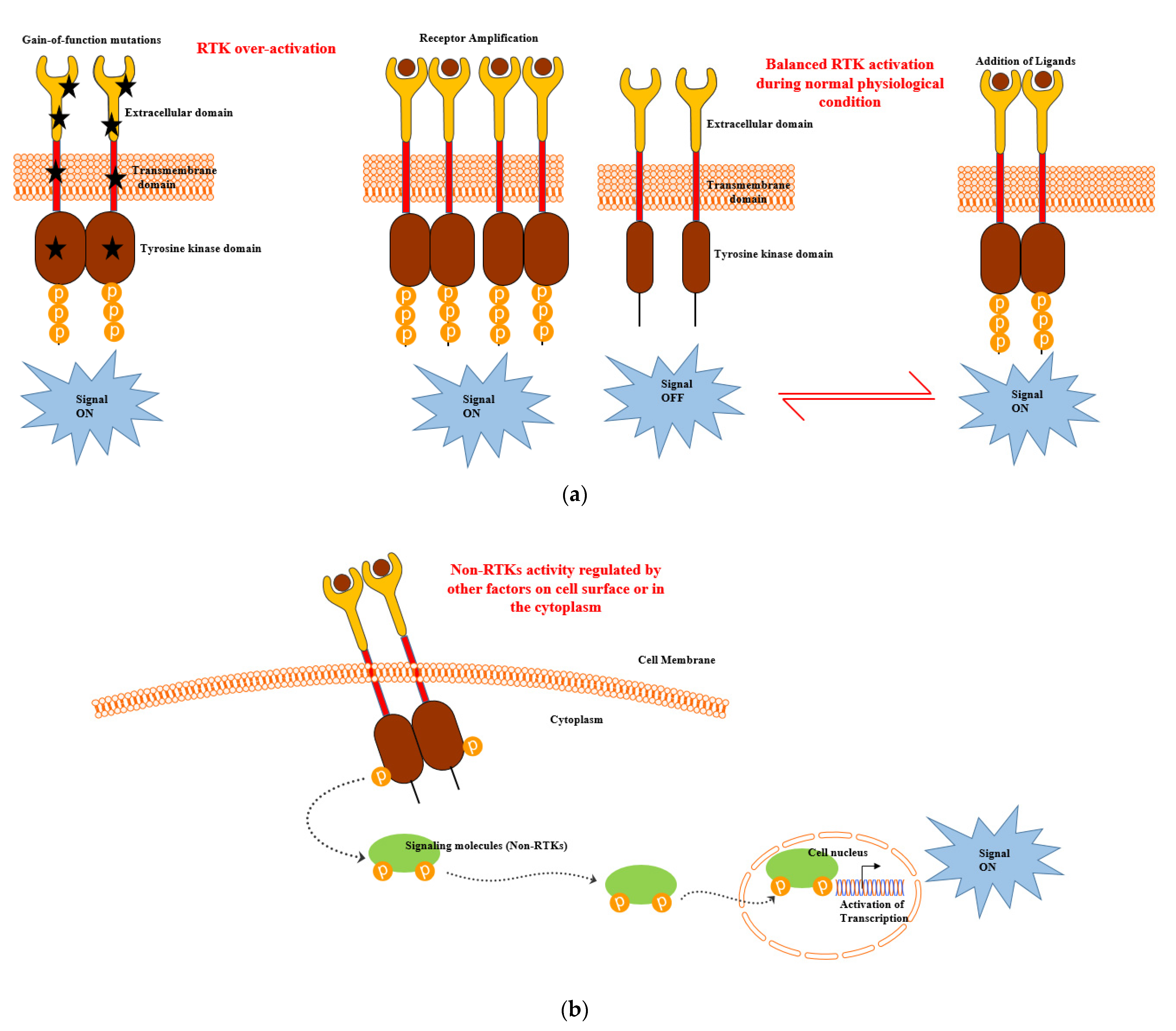 Cancers 13 00184 g002