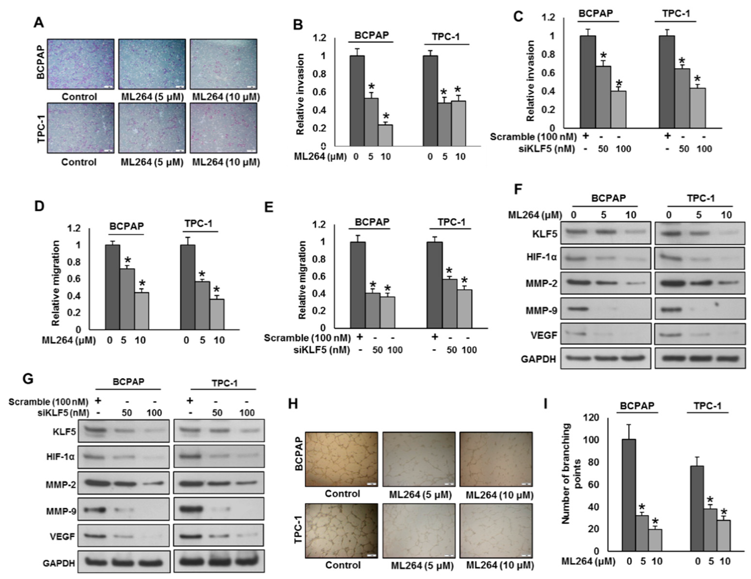 Cancers 13 00185 g003