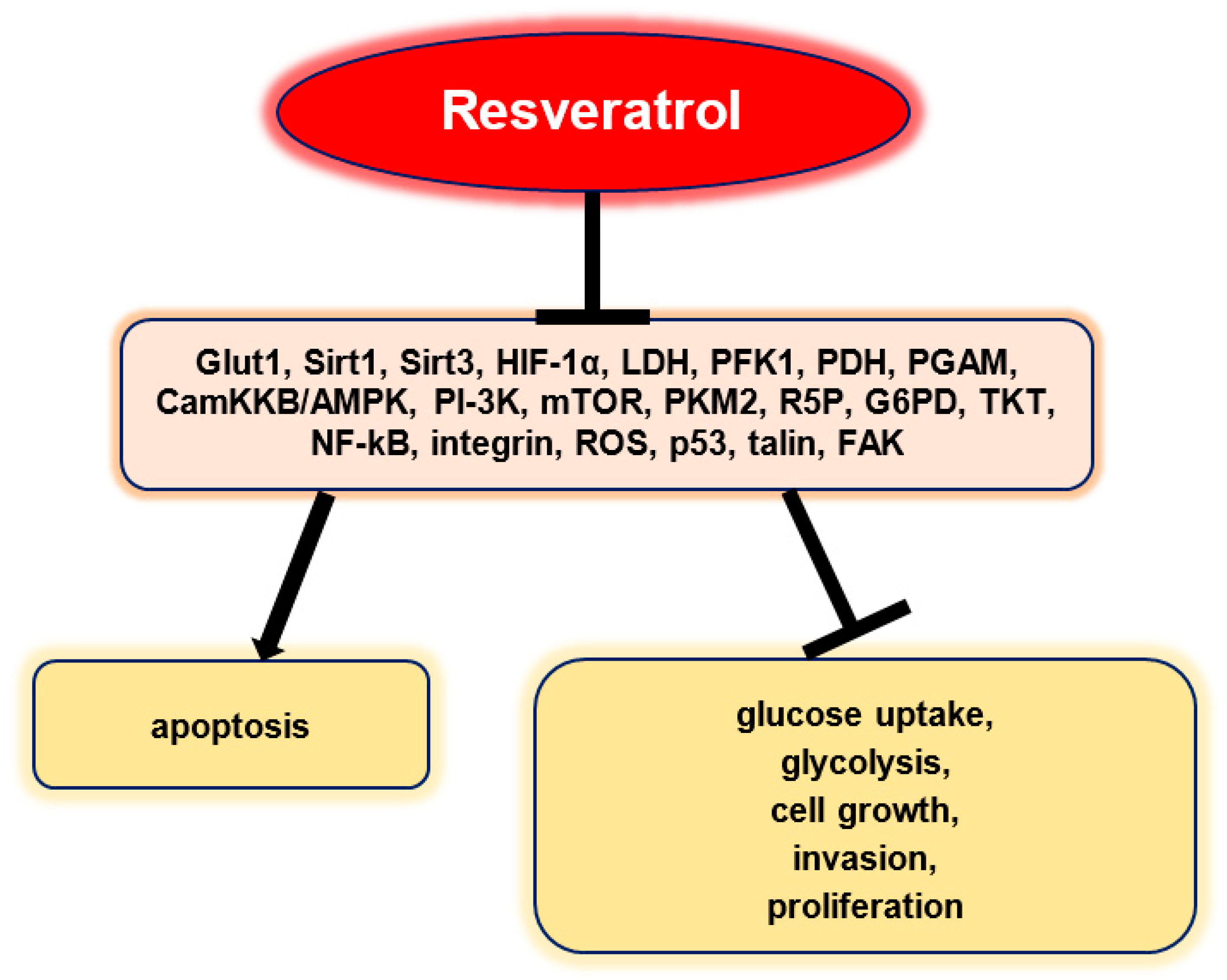 Cancers 13 00188 g003 Cancers 13 00188 g003
