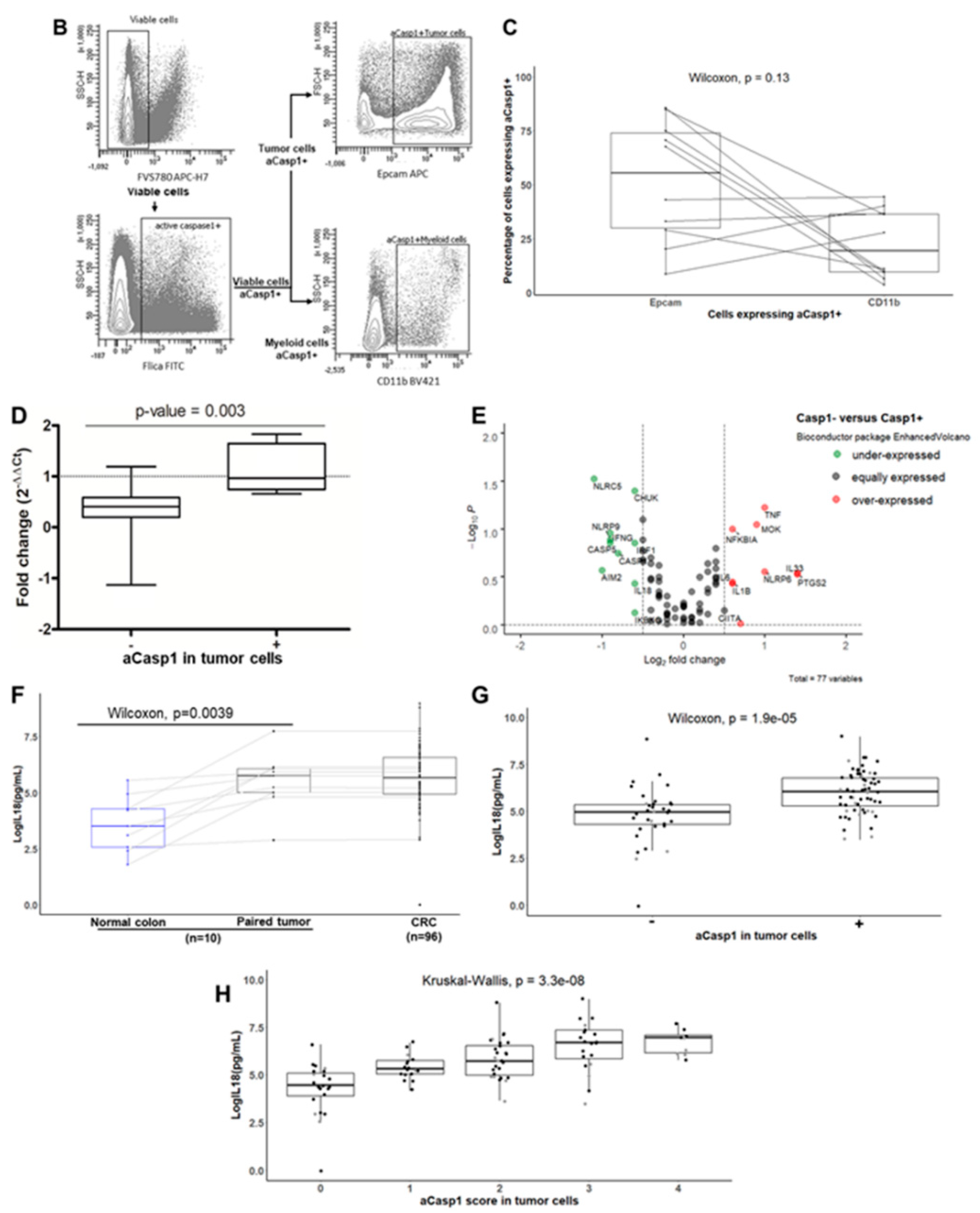 Cancers 13 00189 g002b
