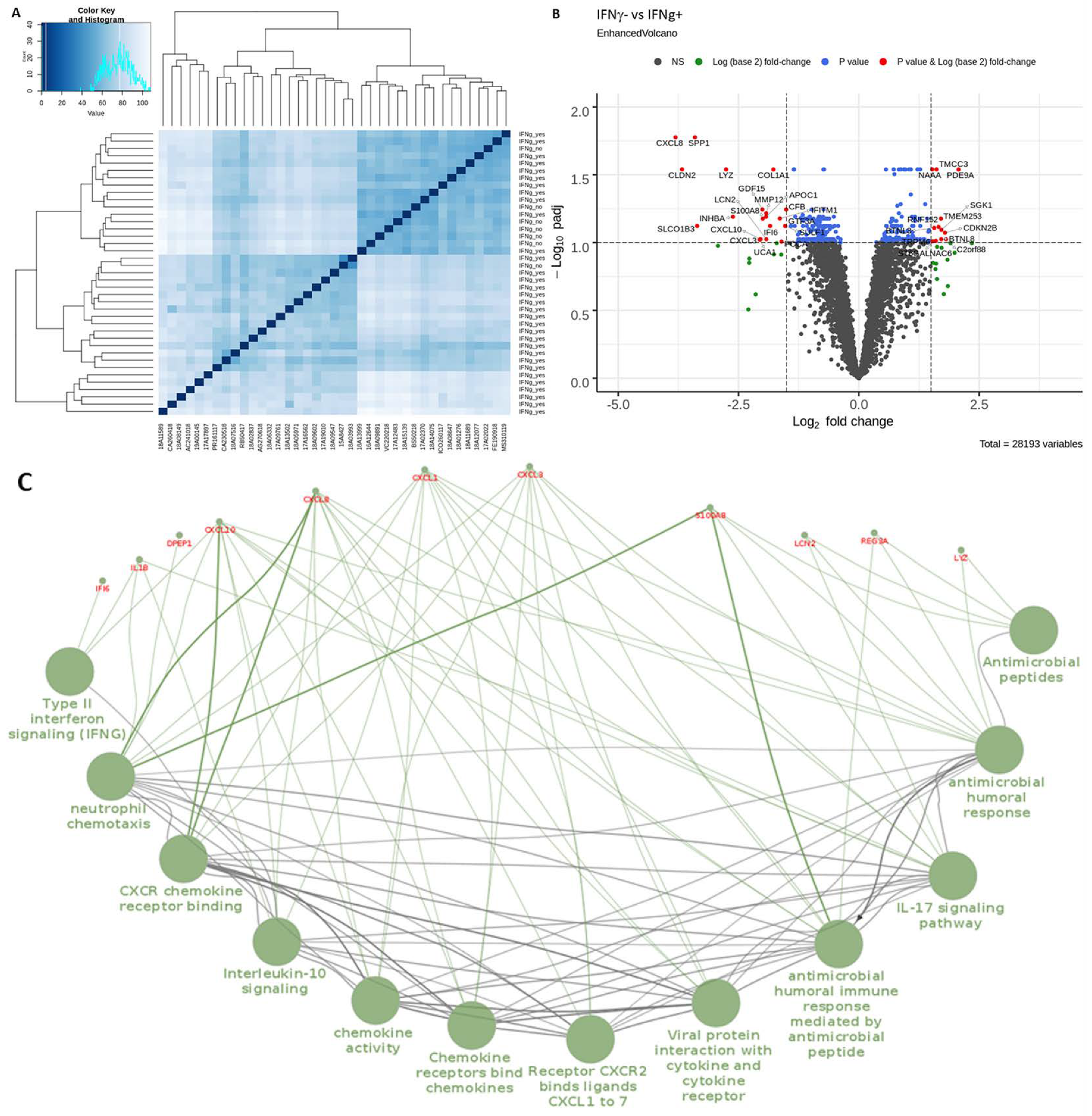 Cancers 13 00189 g006