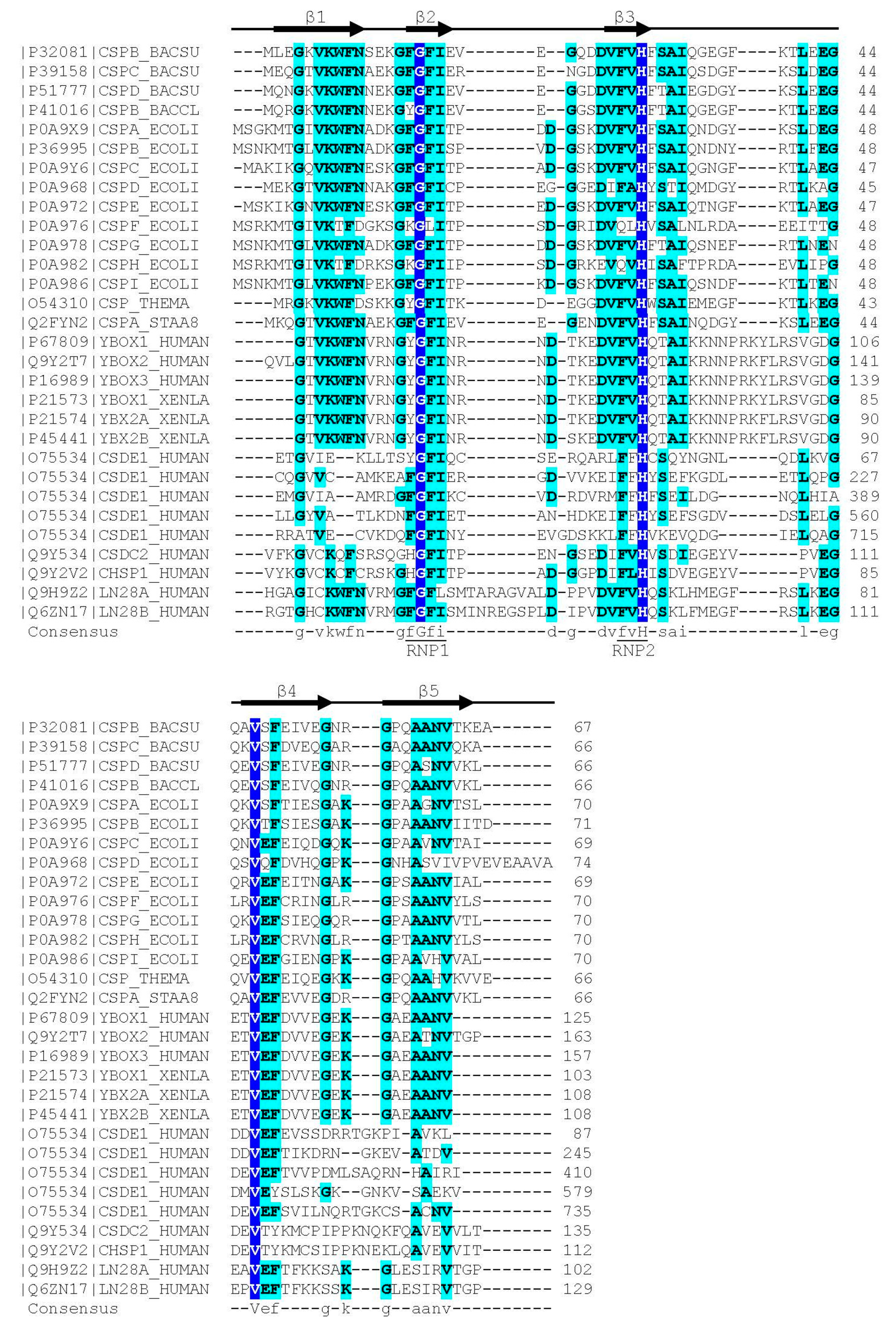 Cancers 13 00190 g001