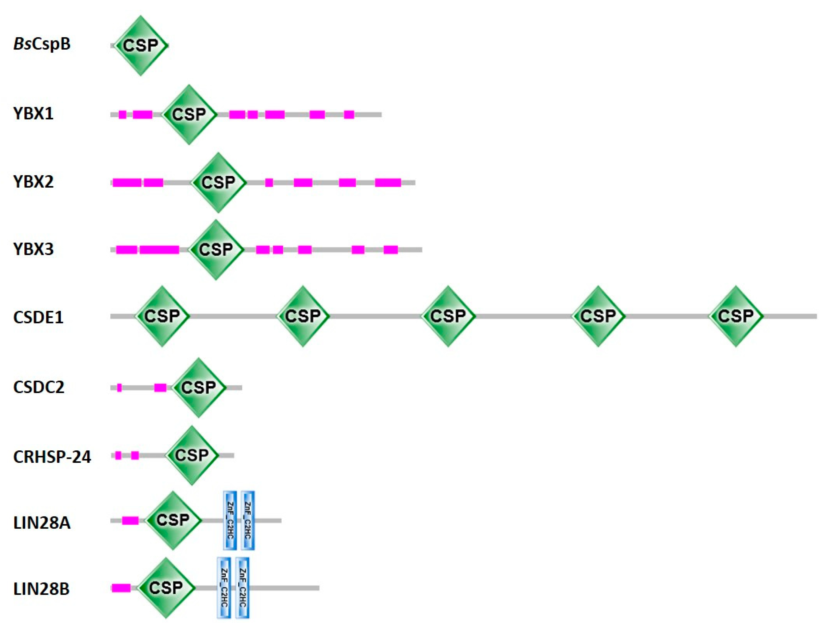 Cancers 13 00190 g002