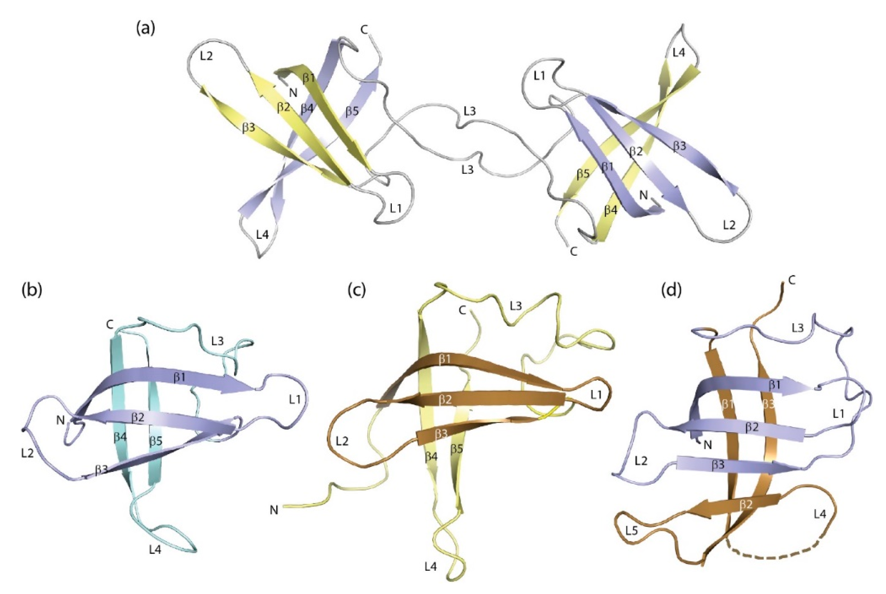 Cancers 13 00190 g004