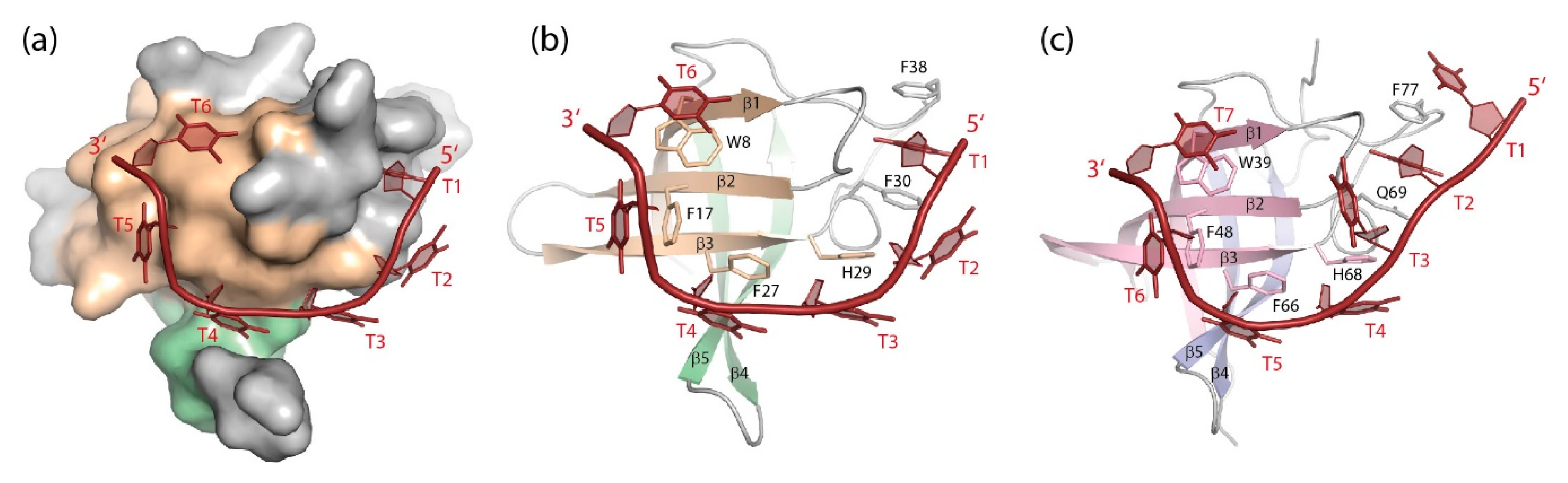 Cancers 13 00190 g005