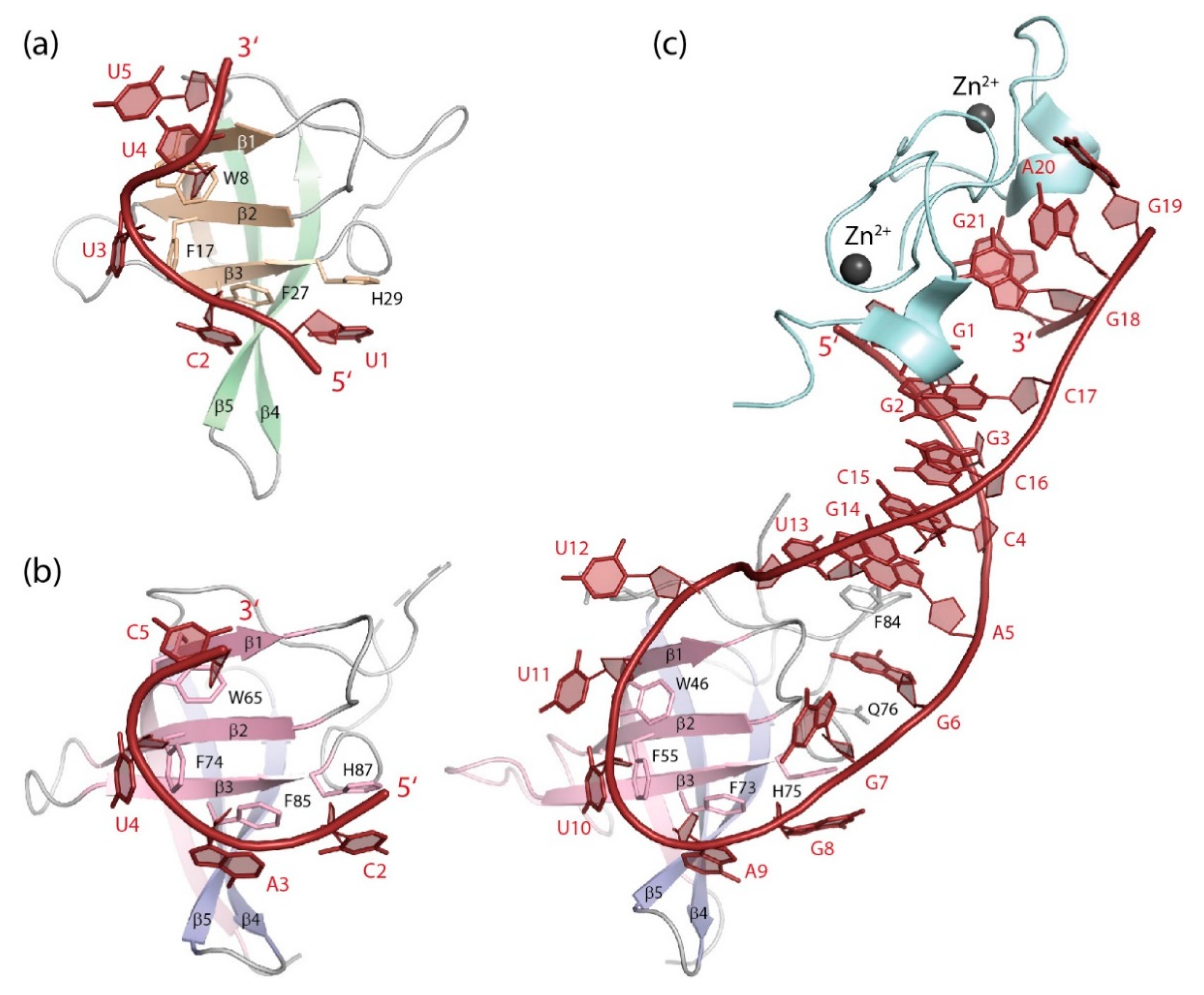 Cancers 13 00190 g006