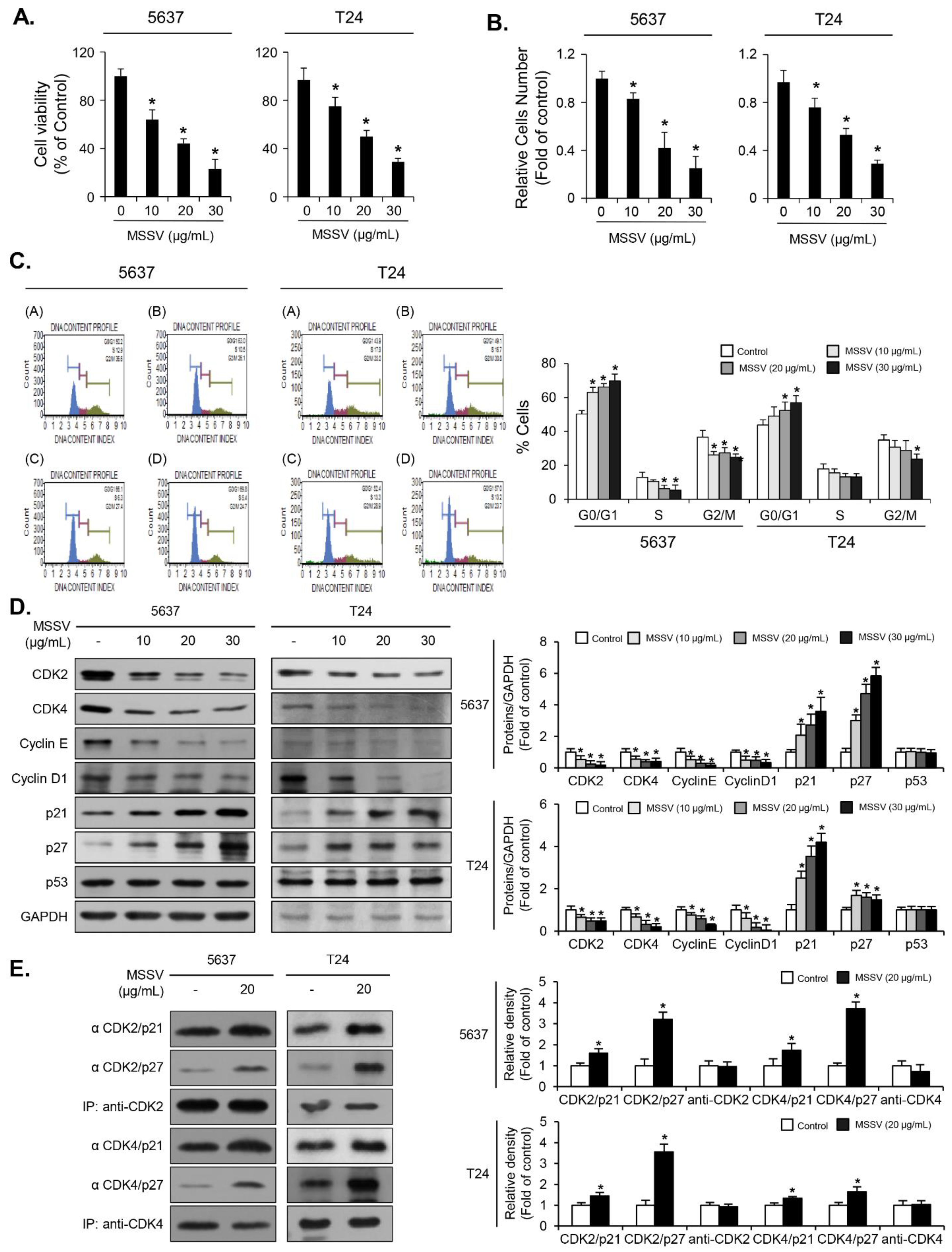 Cancers 13 00191 g002 Cancers 13 00191 g002