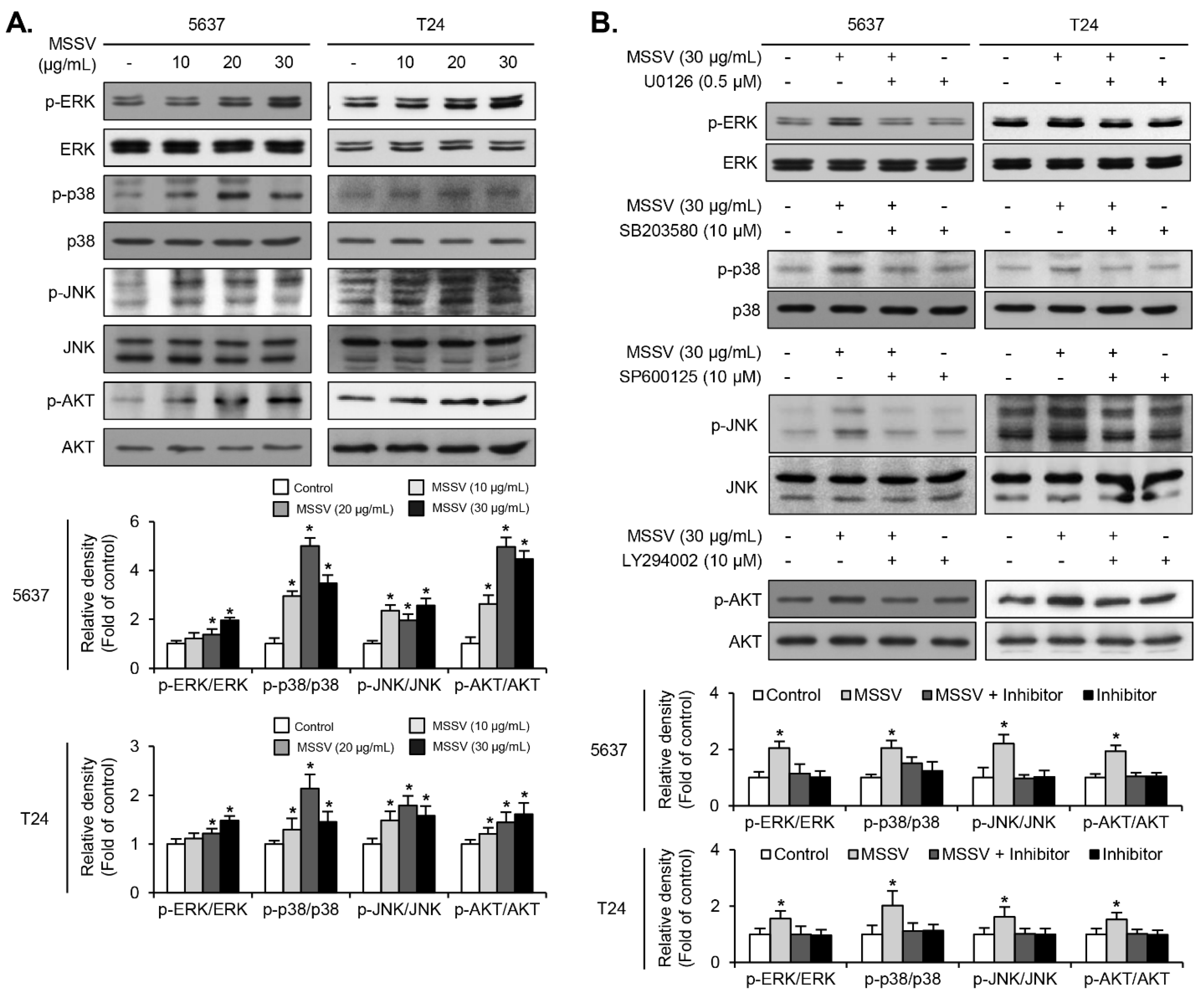 Cancers 13 00191 g003 Cancers 13 00191 g003