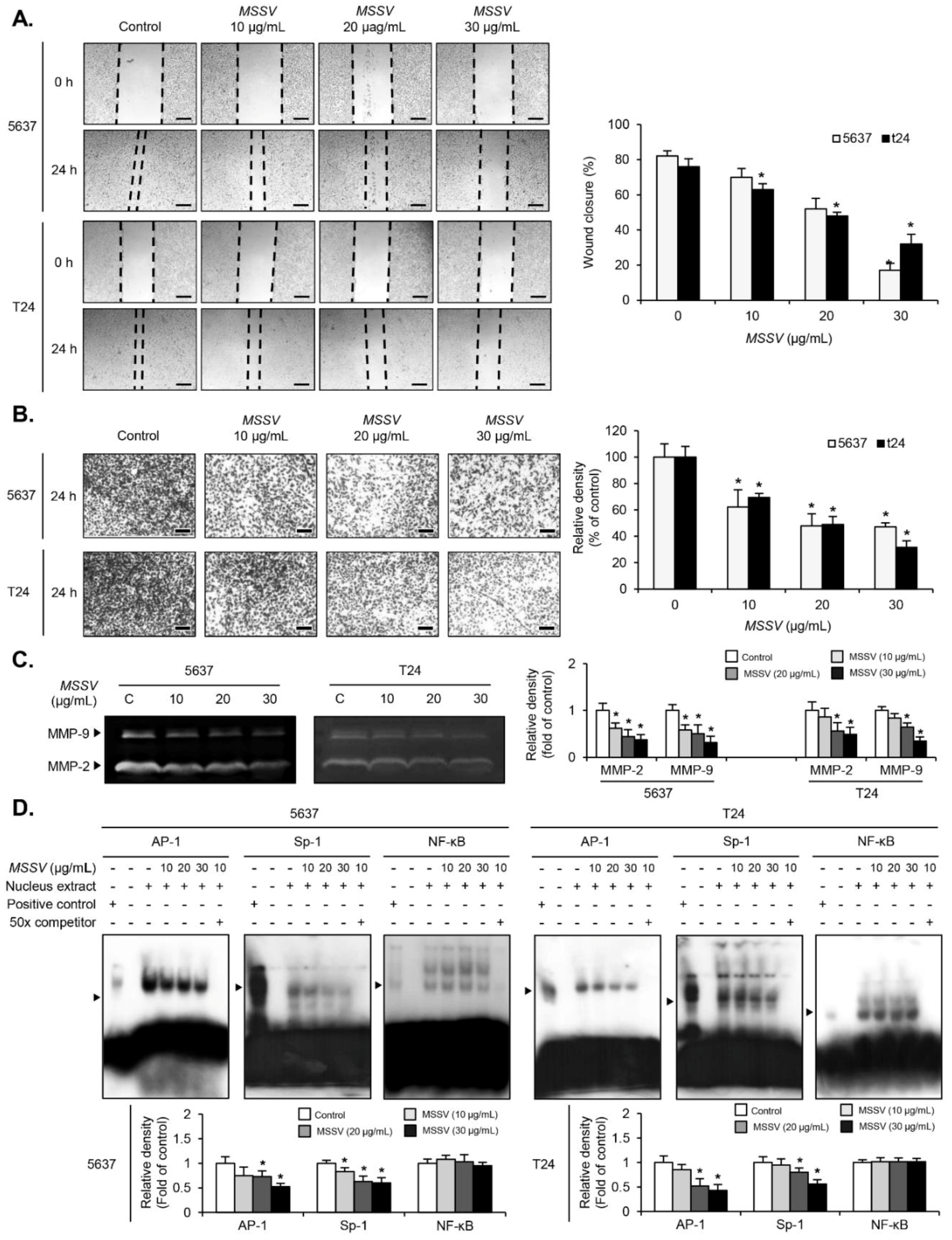 Cancers 13 00191 g004 Cancers 13 00191 g004