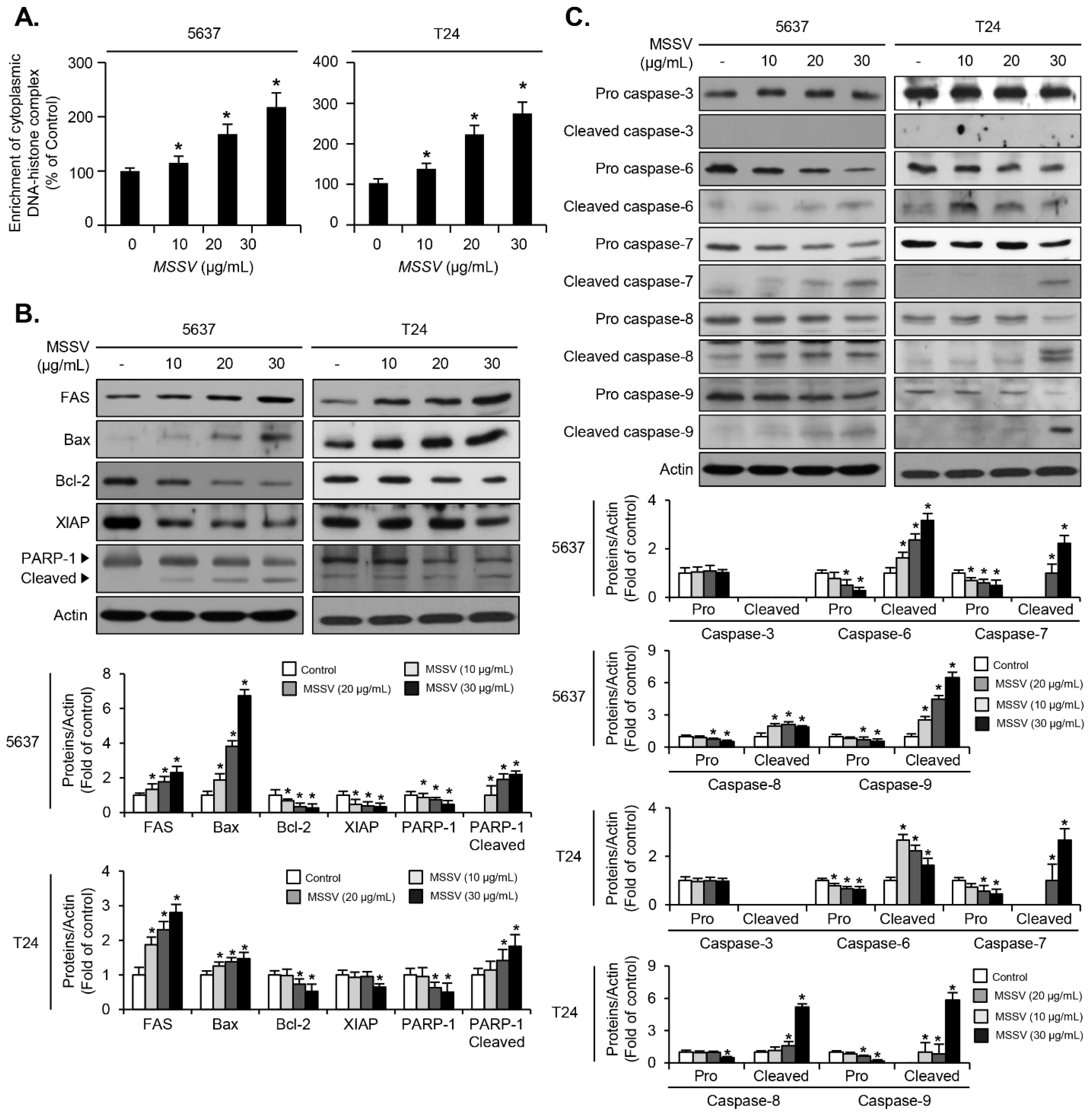 Cancers 13 00191 g005 Cancers 13 00191 g005