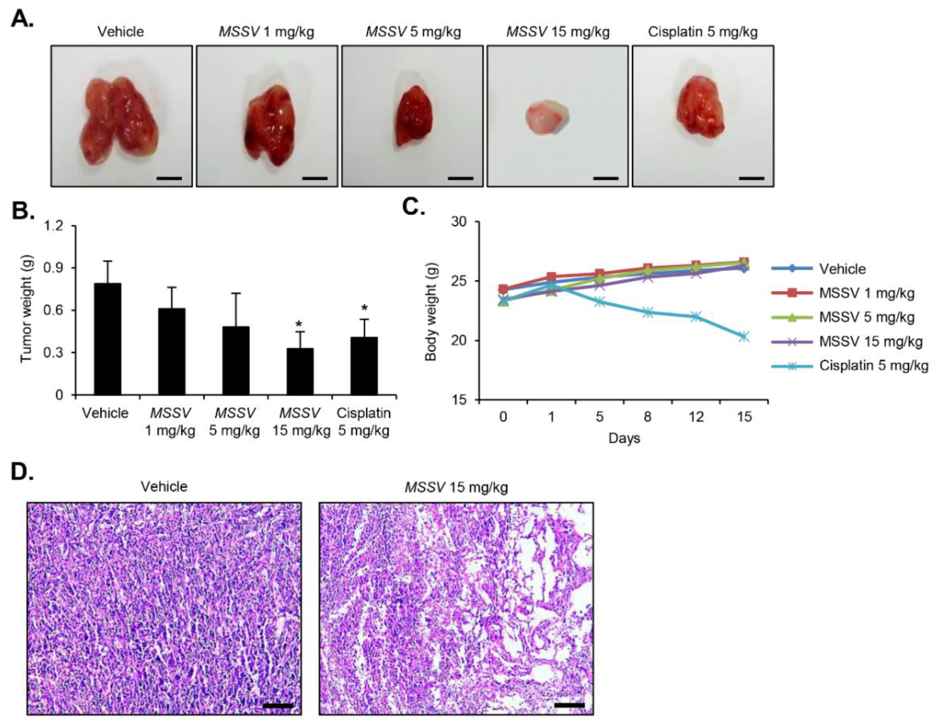 Cancers 13 00191 g006 Cancers 13 00191 g006