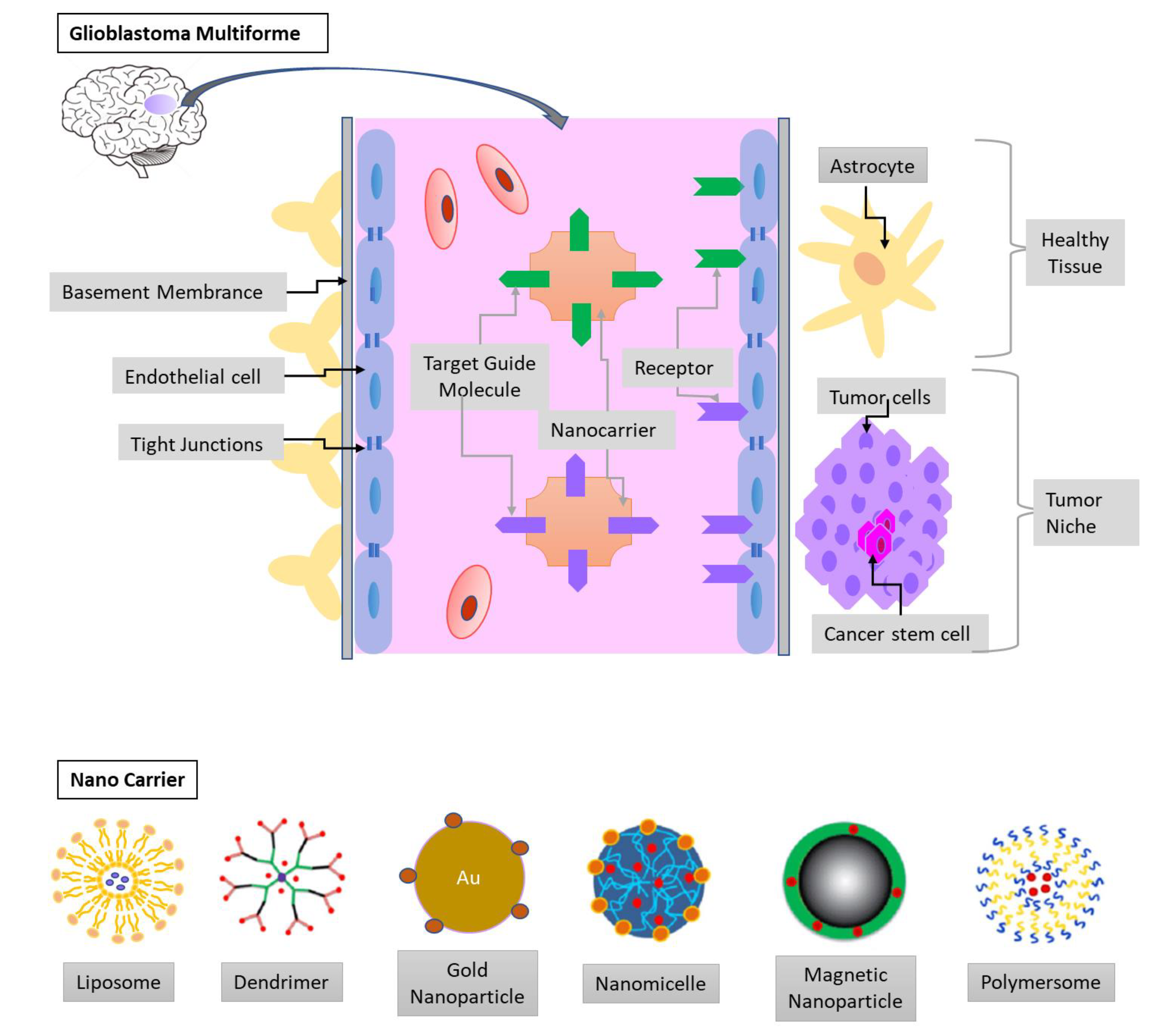 Cancers 13 00195 g003