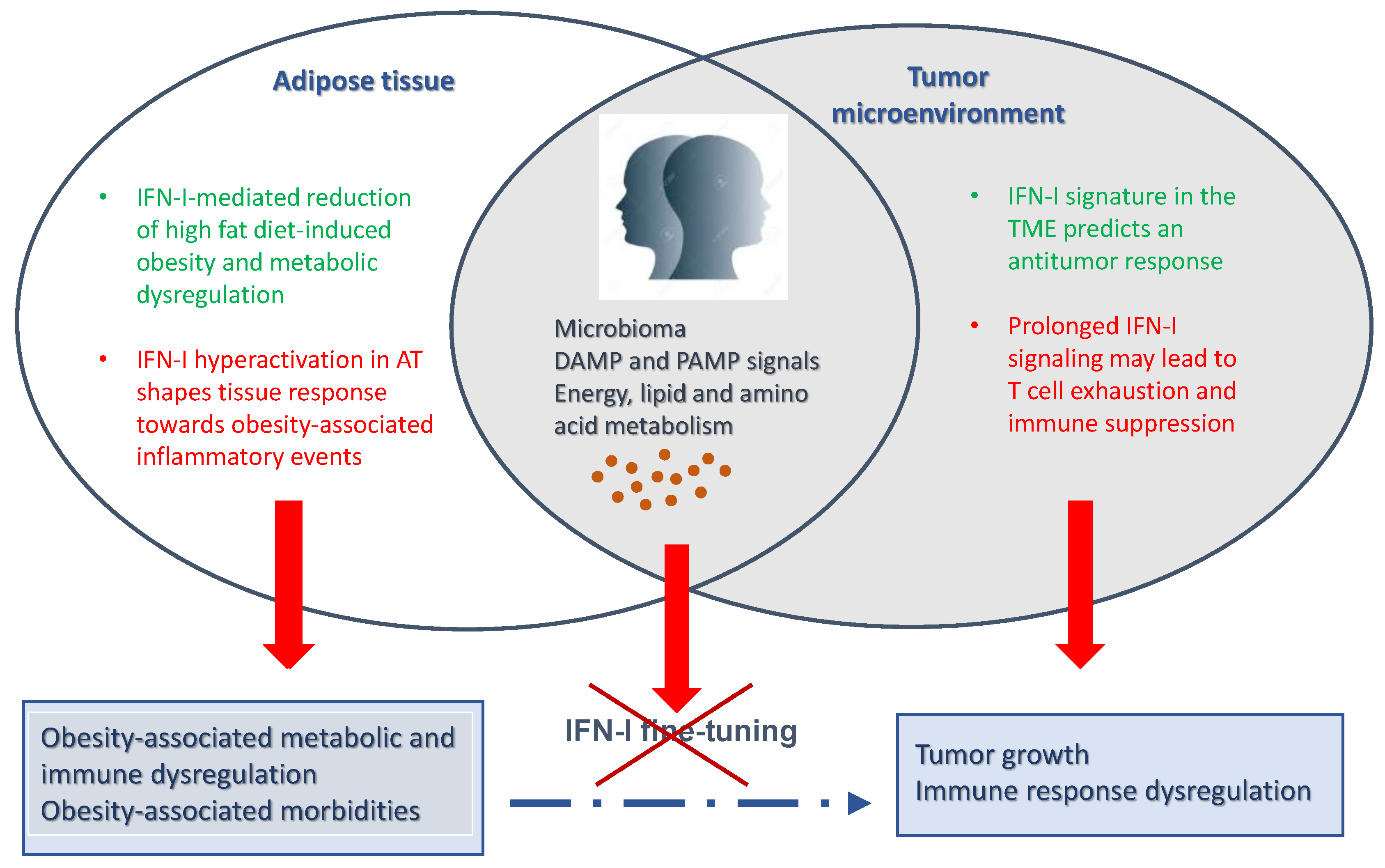 Cancers 13 00196 g001