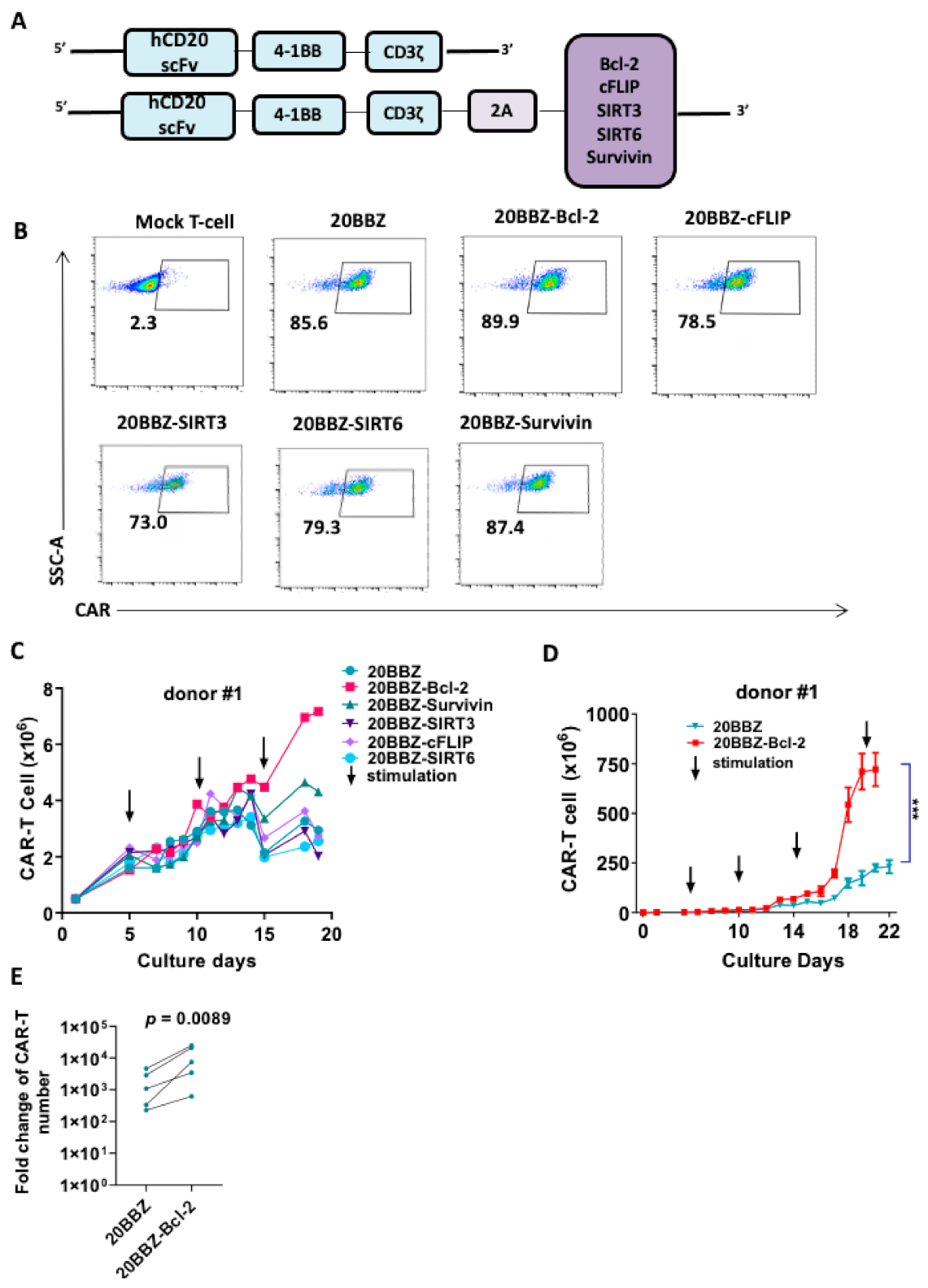 Cancers 13 00197 g002 Cancers 13 00197 g002