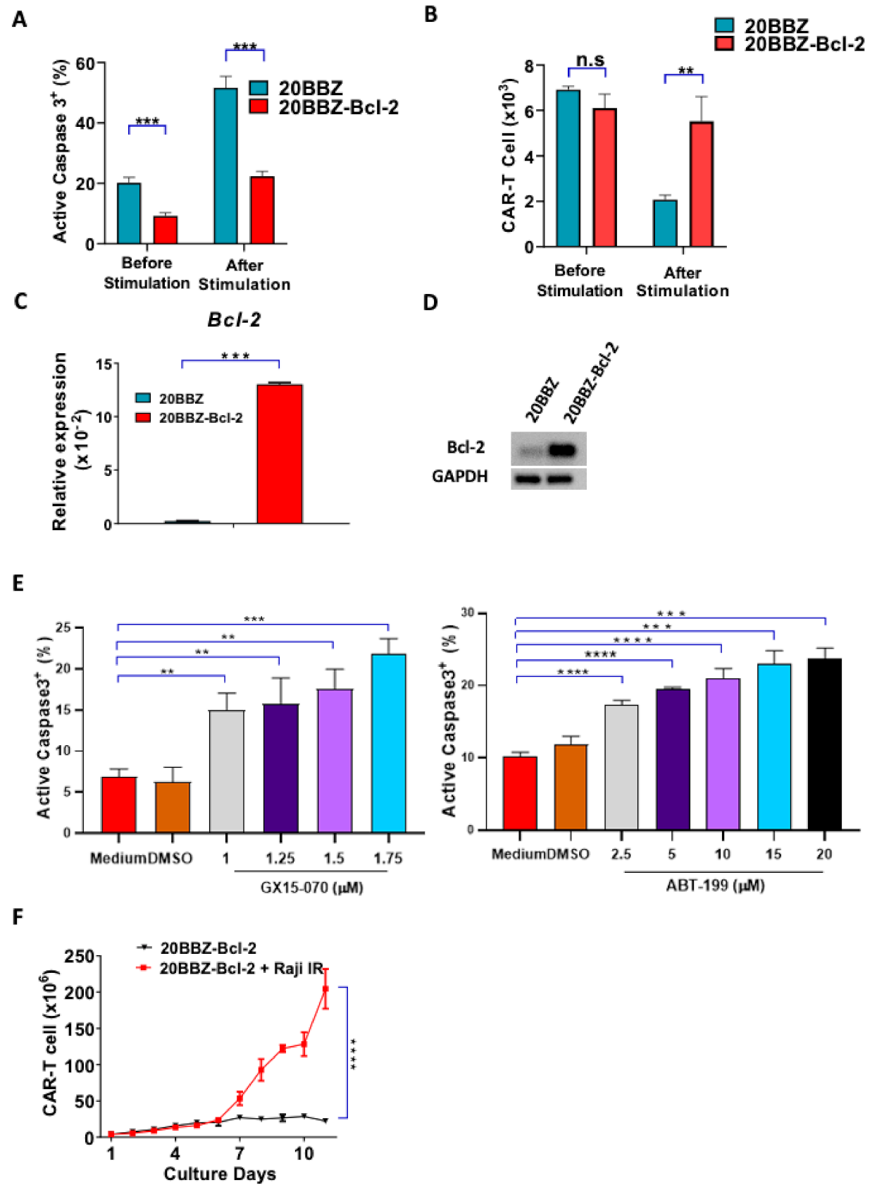 Cancers 13 00197 g003 Cancers 13 00197 g003