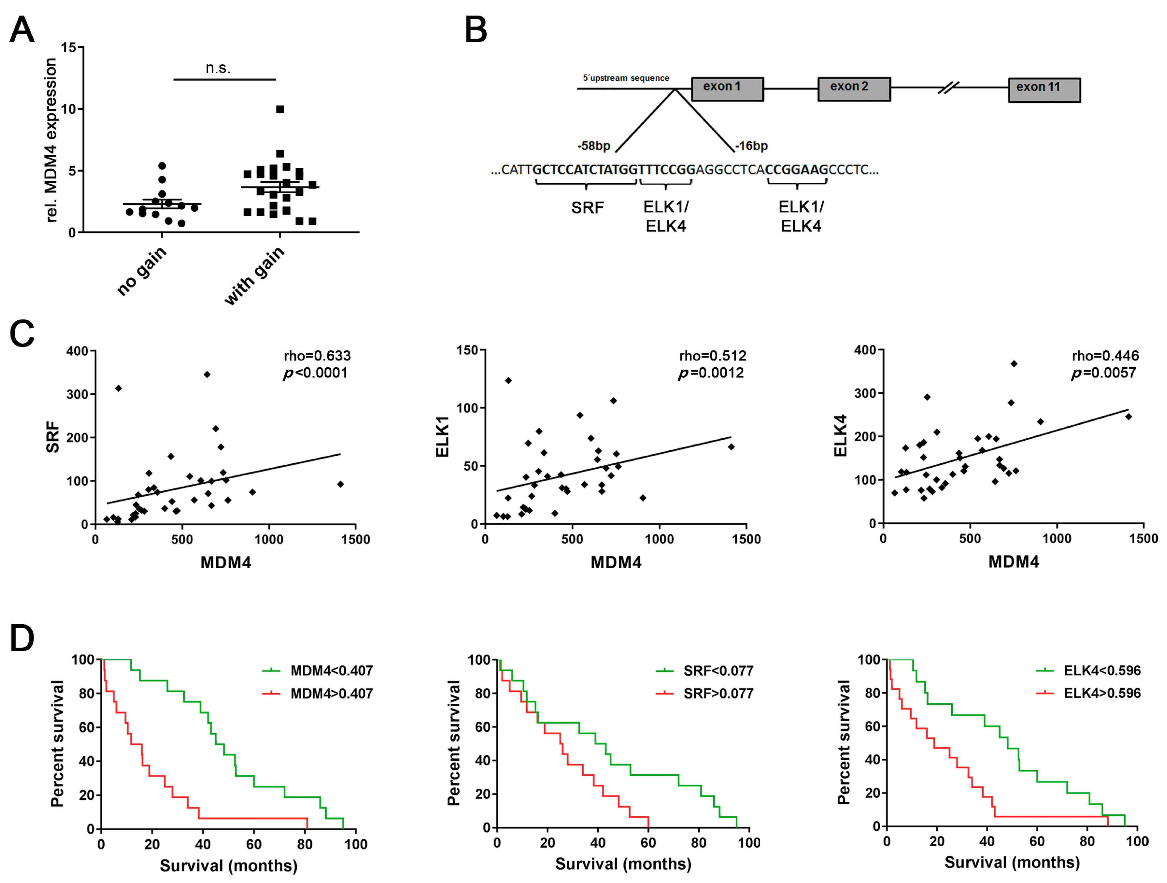 Cancers 13 00199 g001