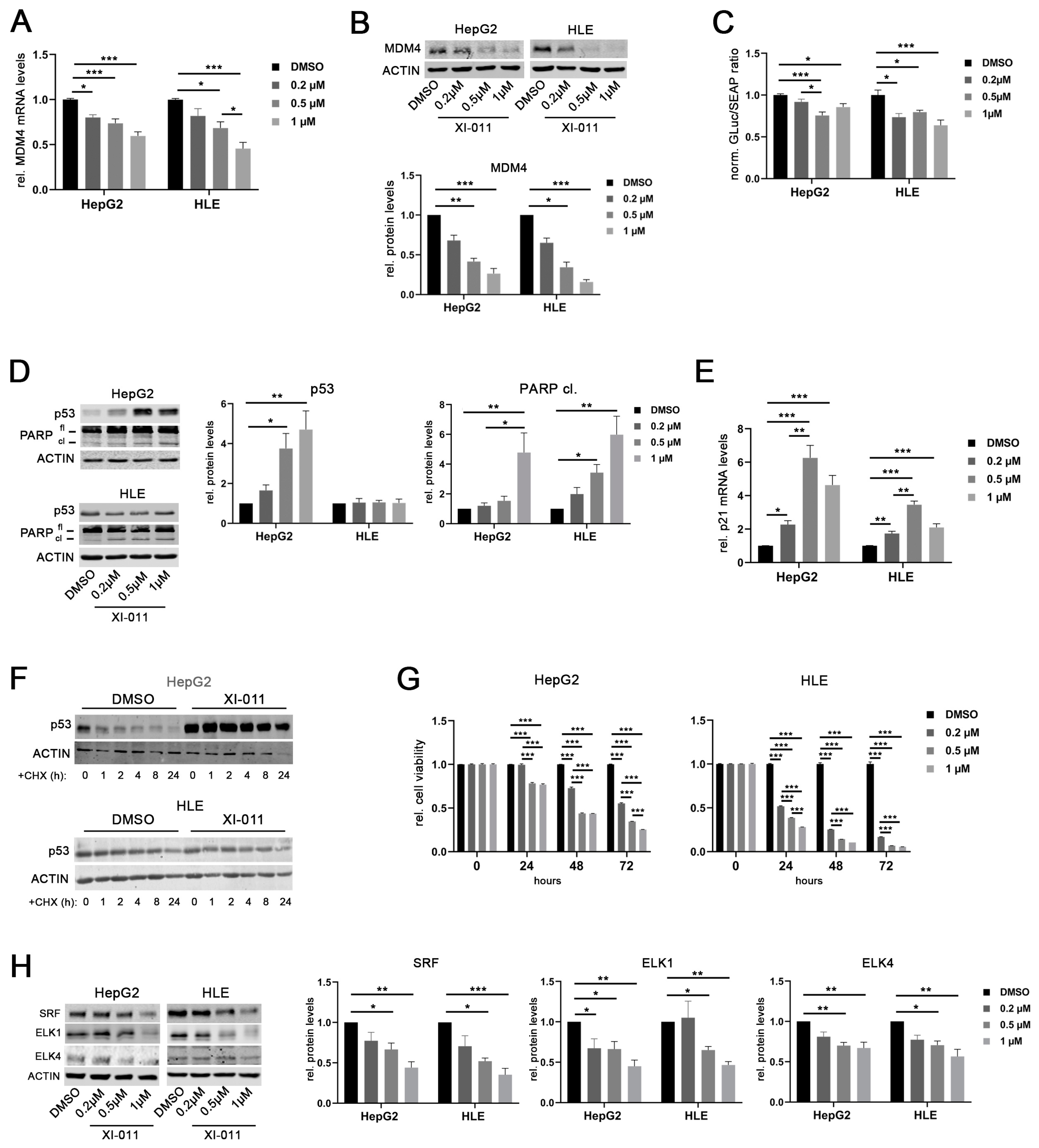 Cancers 13 00199 g006