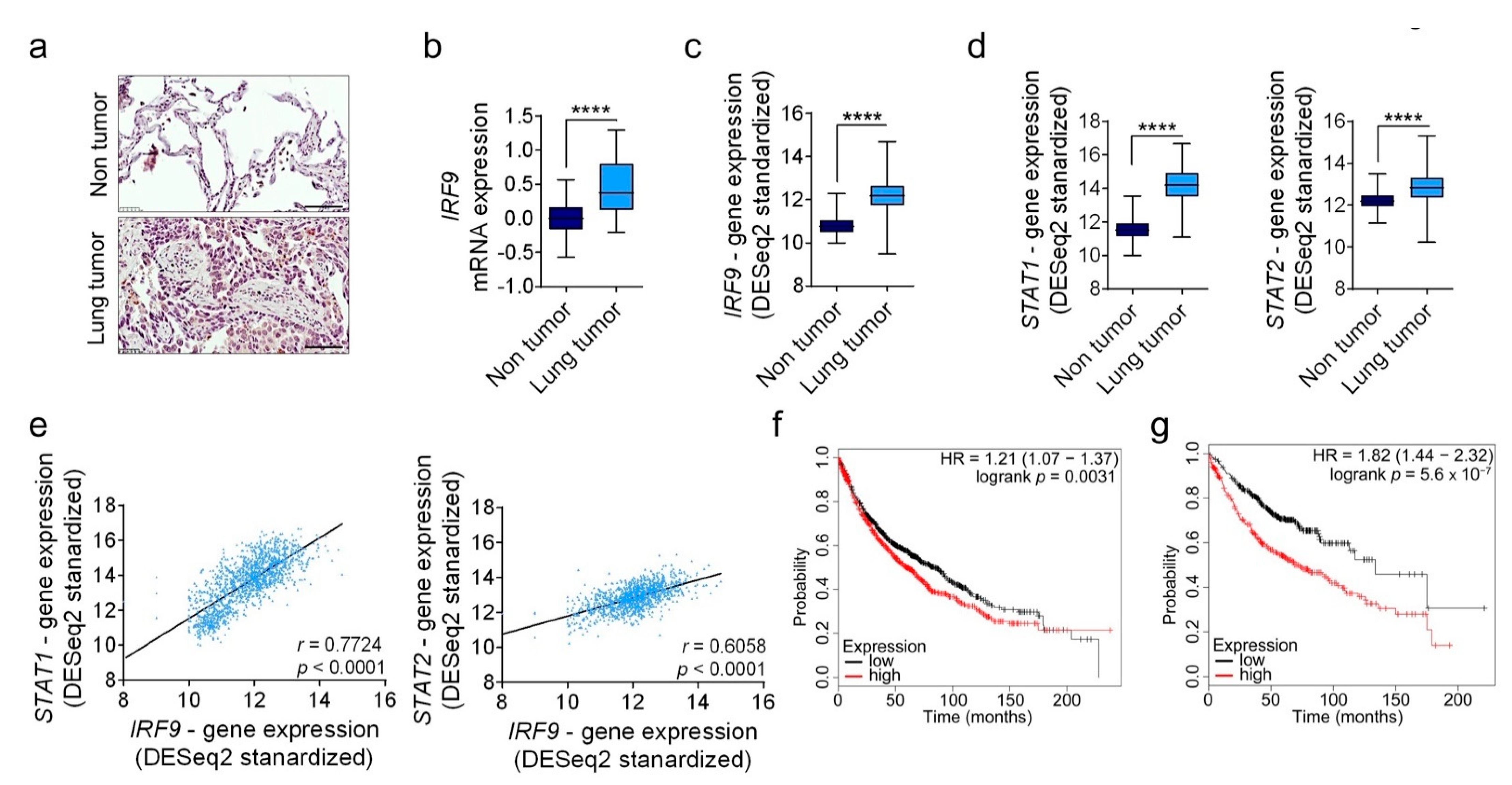 Cancers 13 00208 g001