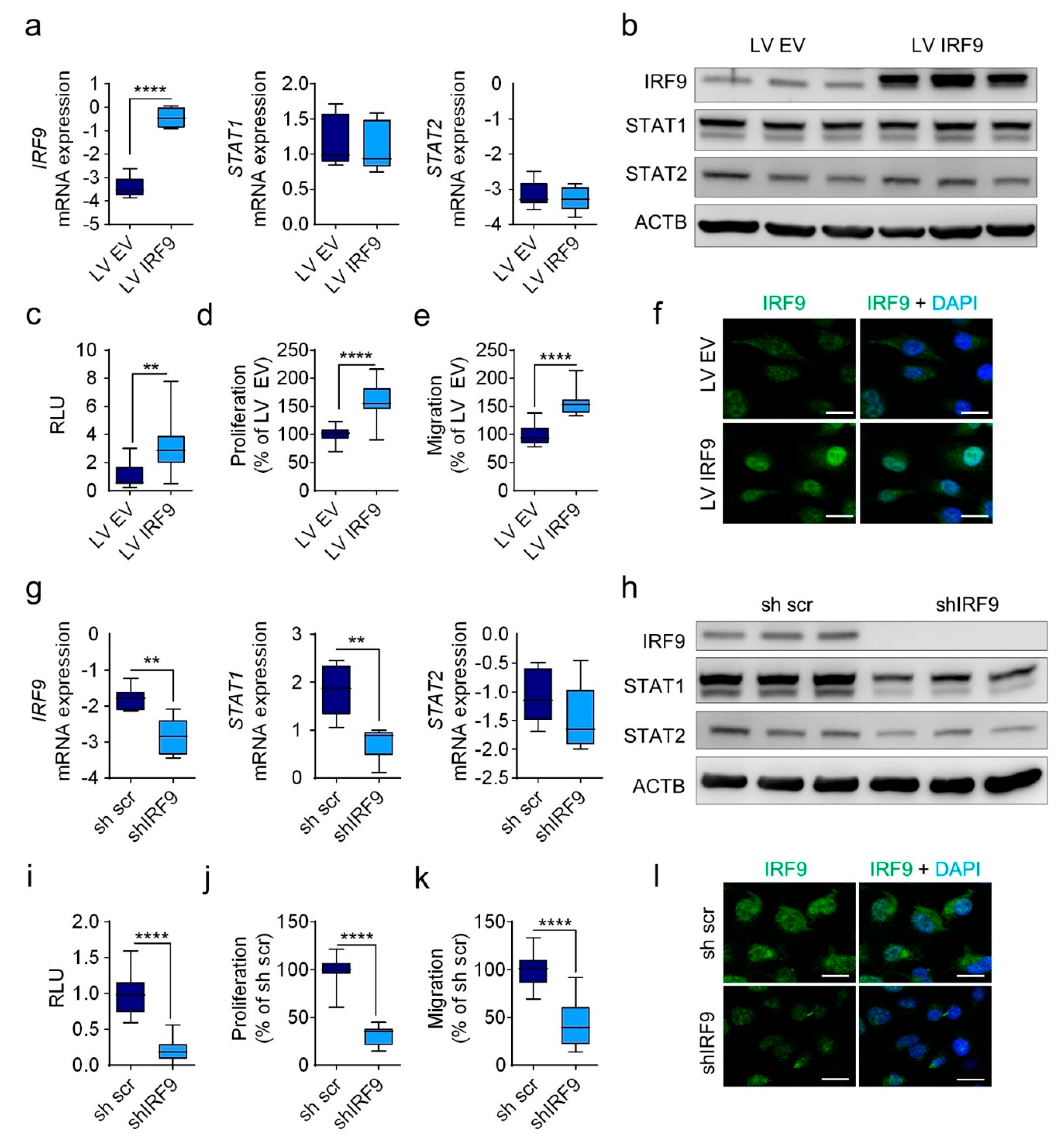 Cancers 13 00208 g003