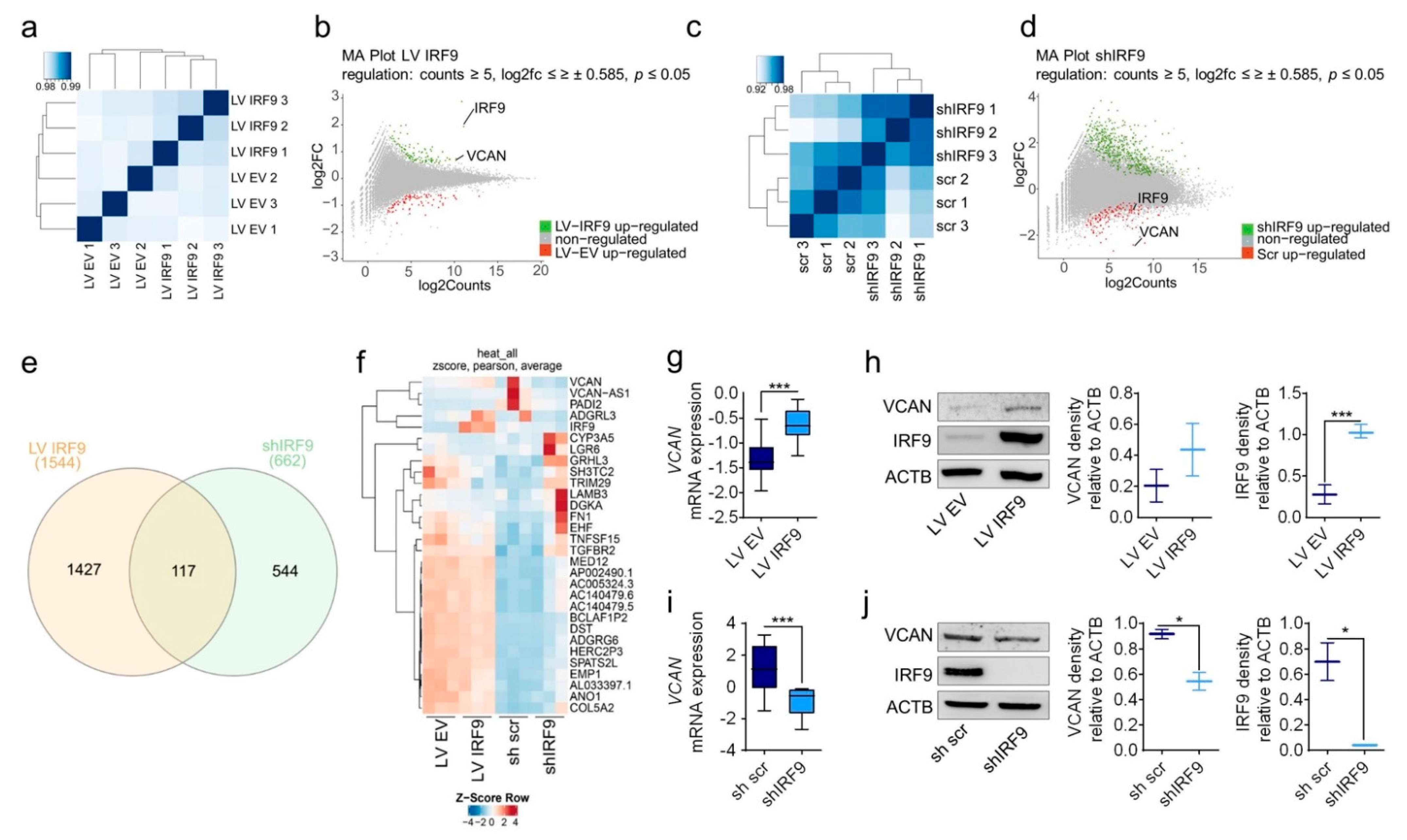 Cancers 13 00208 g004