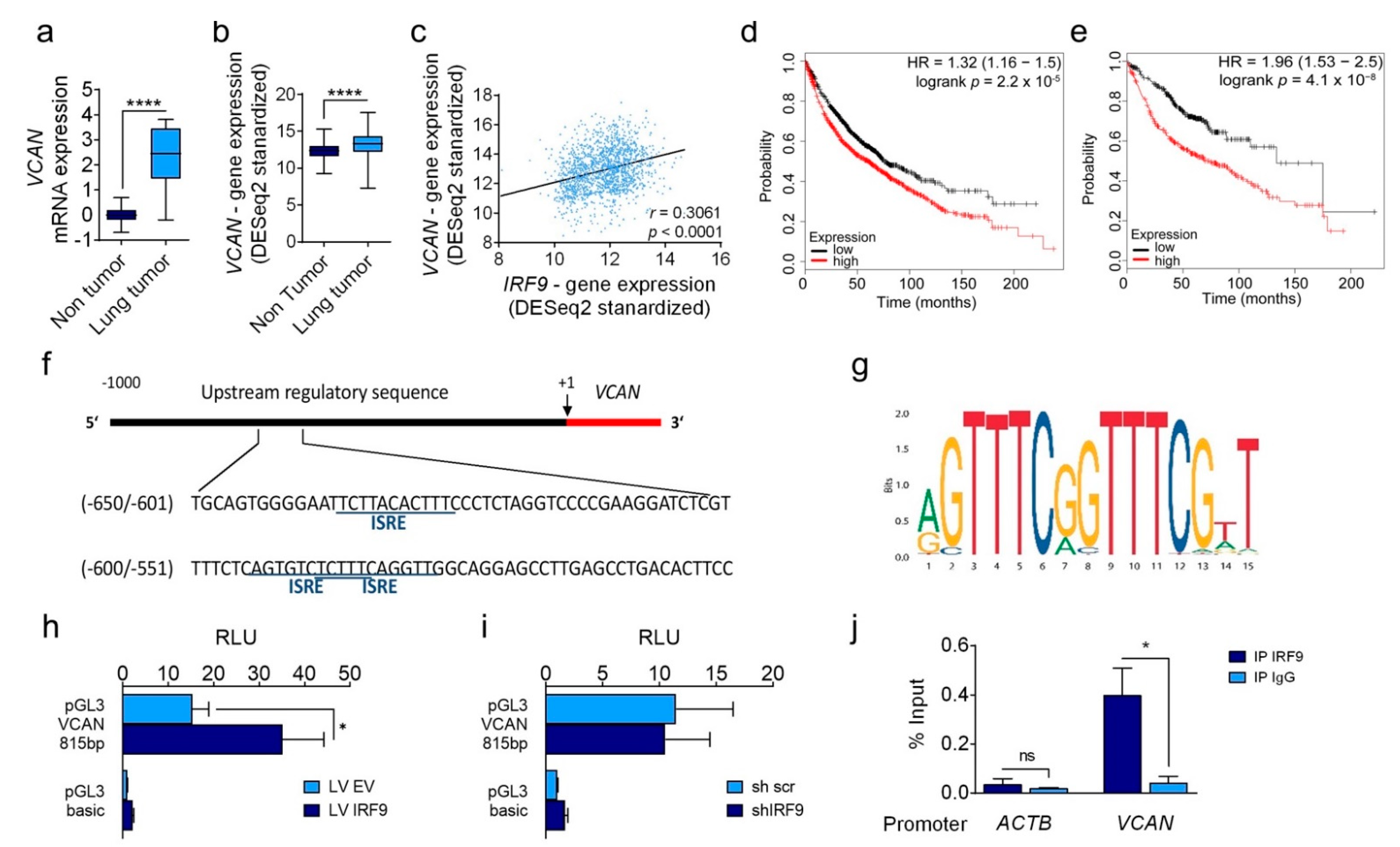 Cancers 13 00208 g005