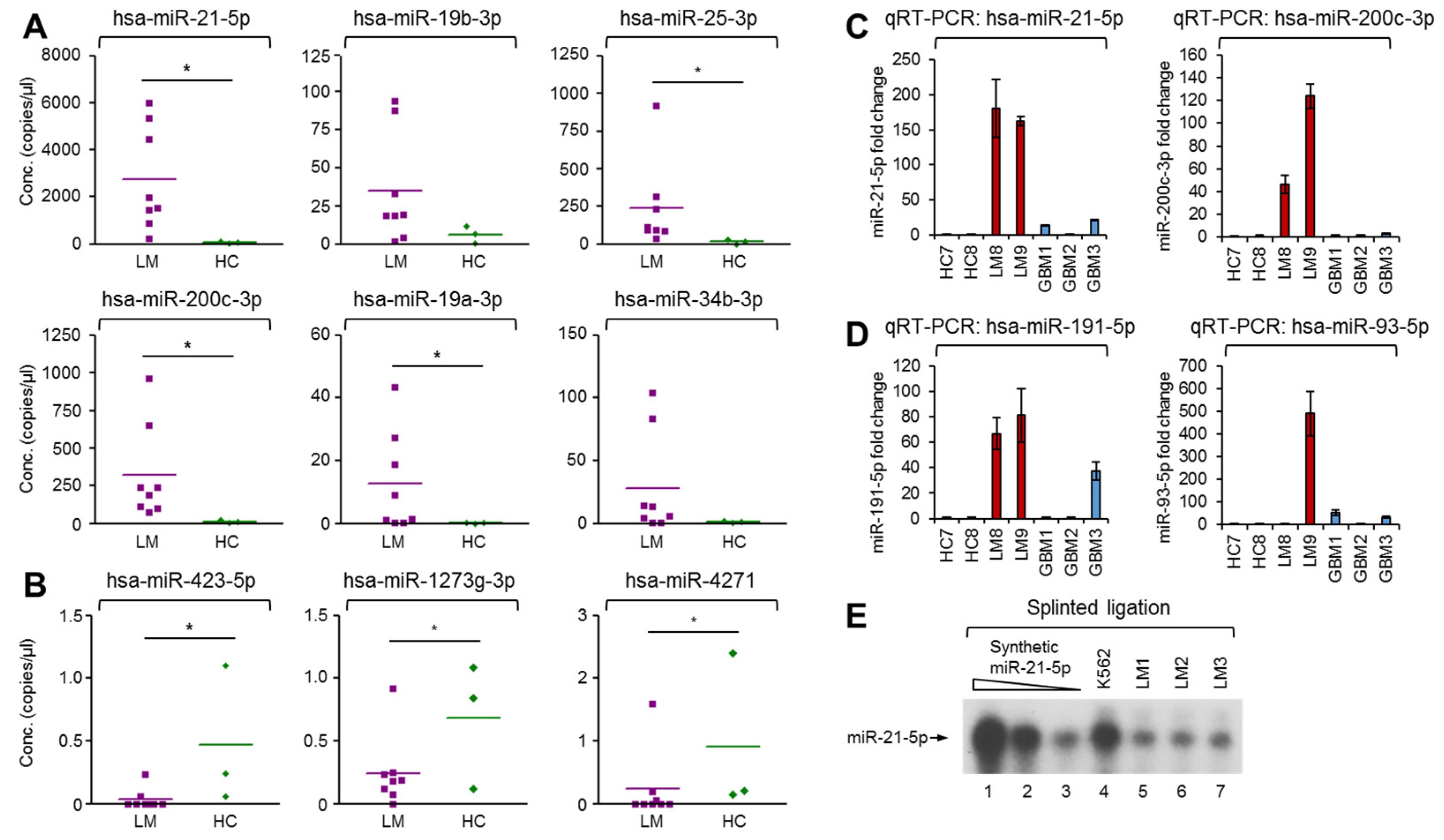 Cancers 13 00209 g004
