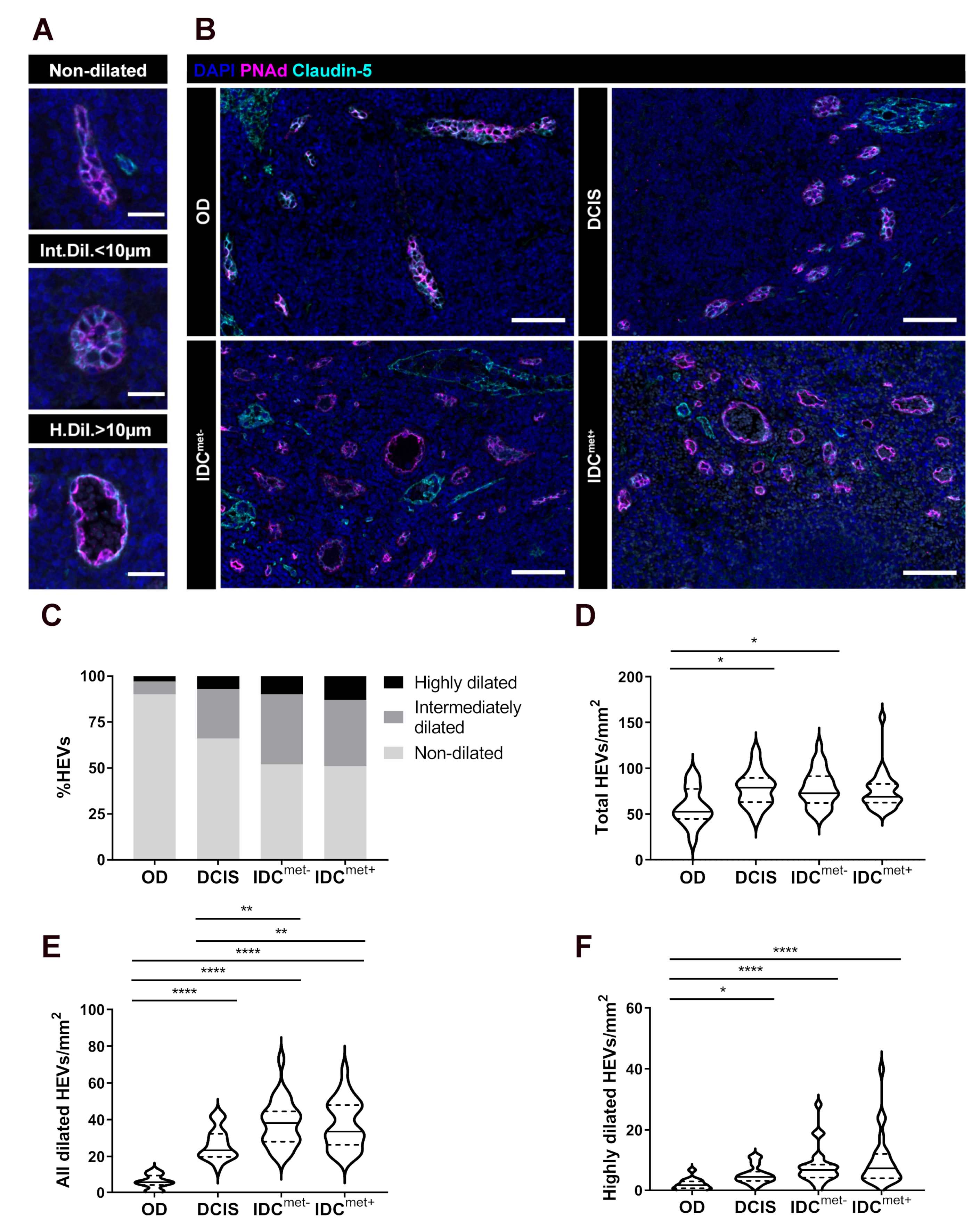 Cancers 13 00211 g001