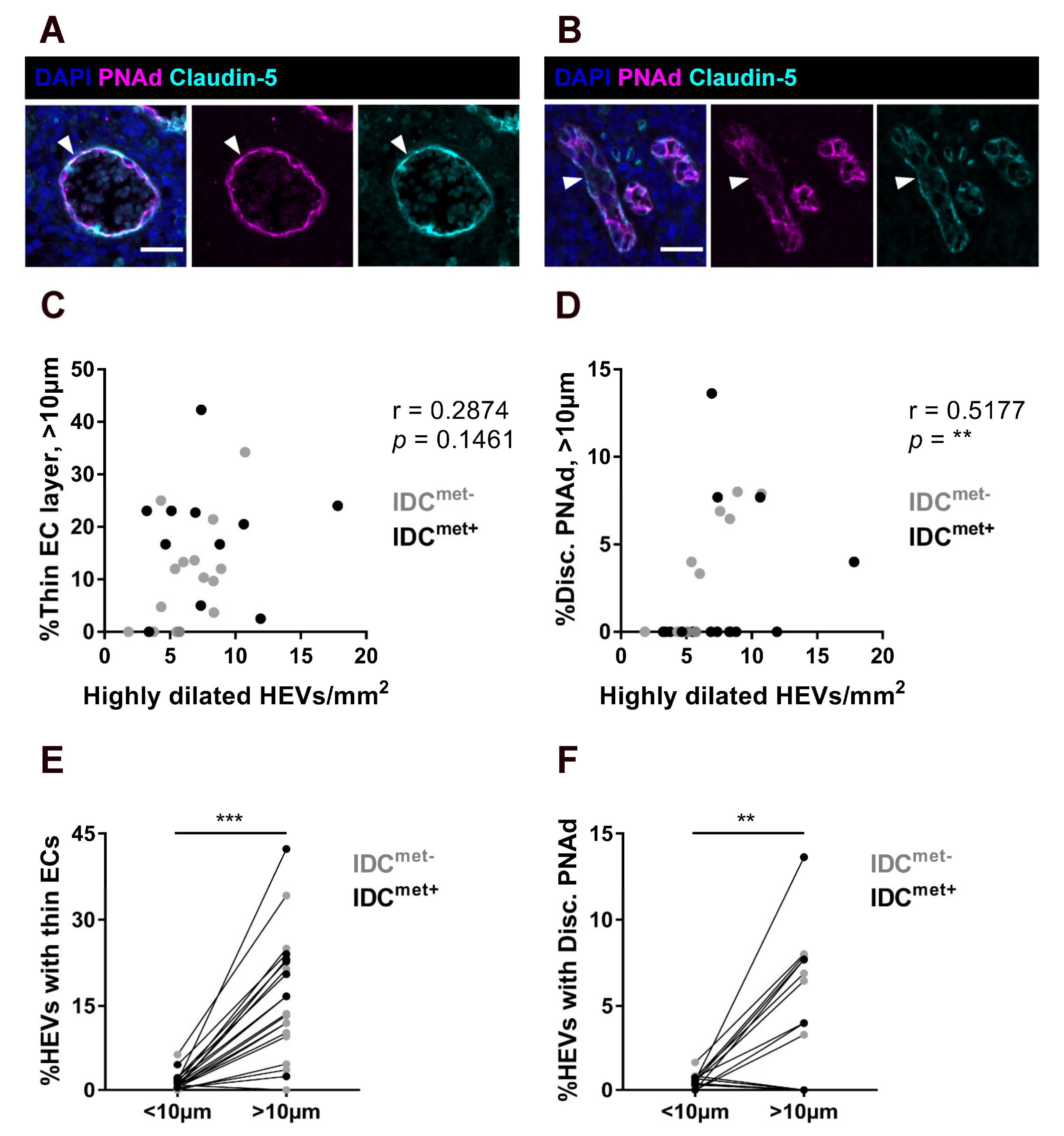 Cancers 13 00211 g002