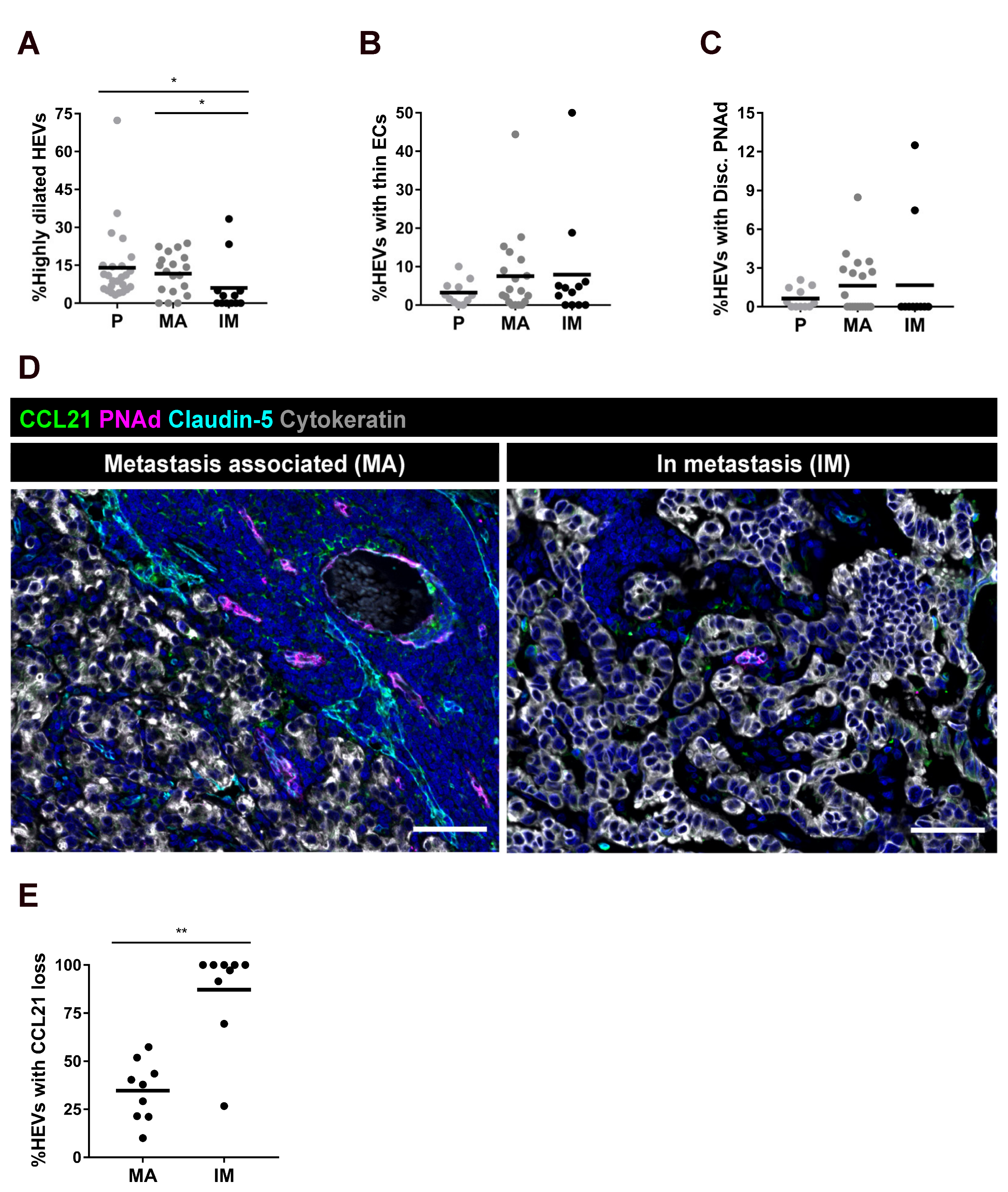 Cancers 13 00211 g004