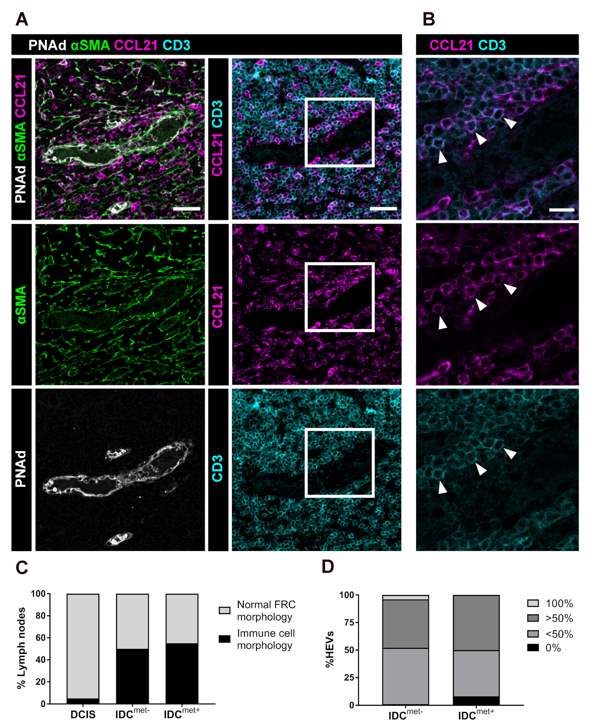 Cancers 13 00211 g005
