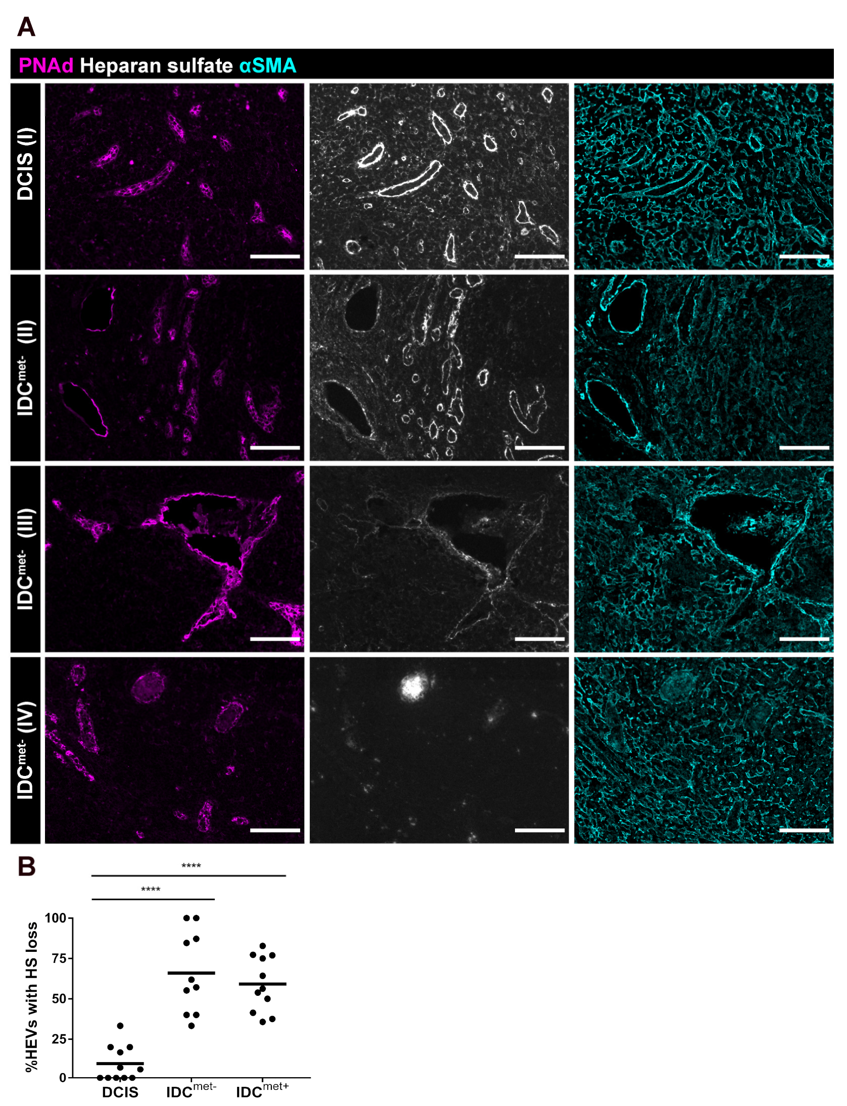 Cancers 13 00211 g006