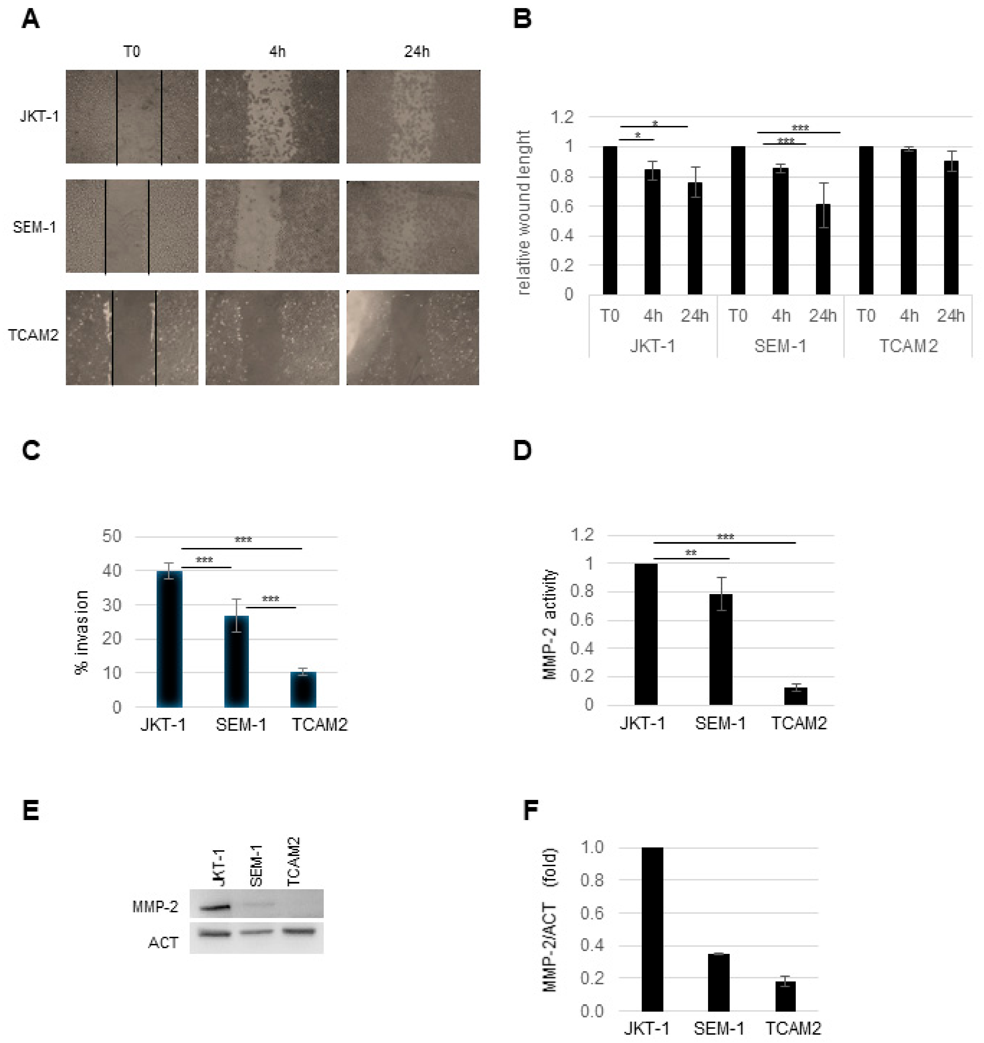 Cancers 13 00212 g002