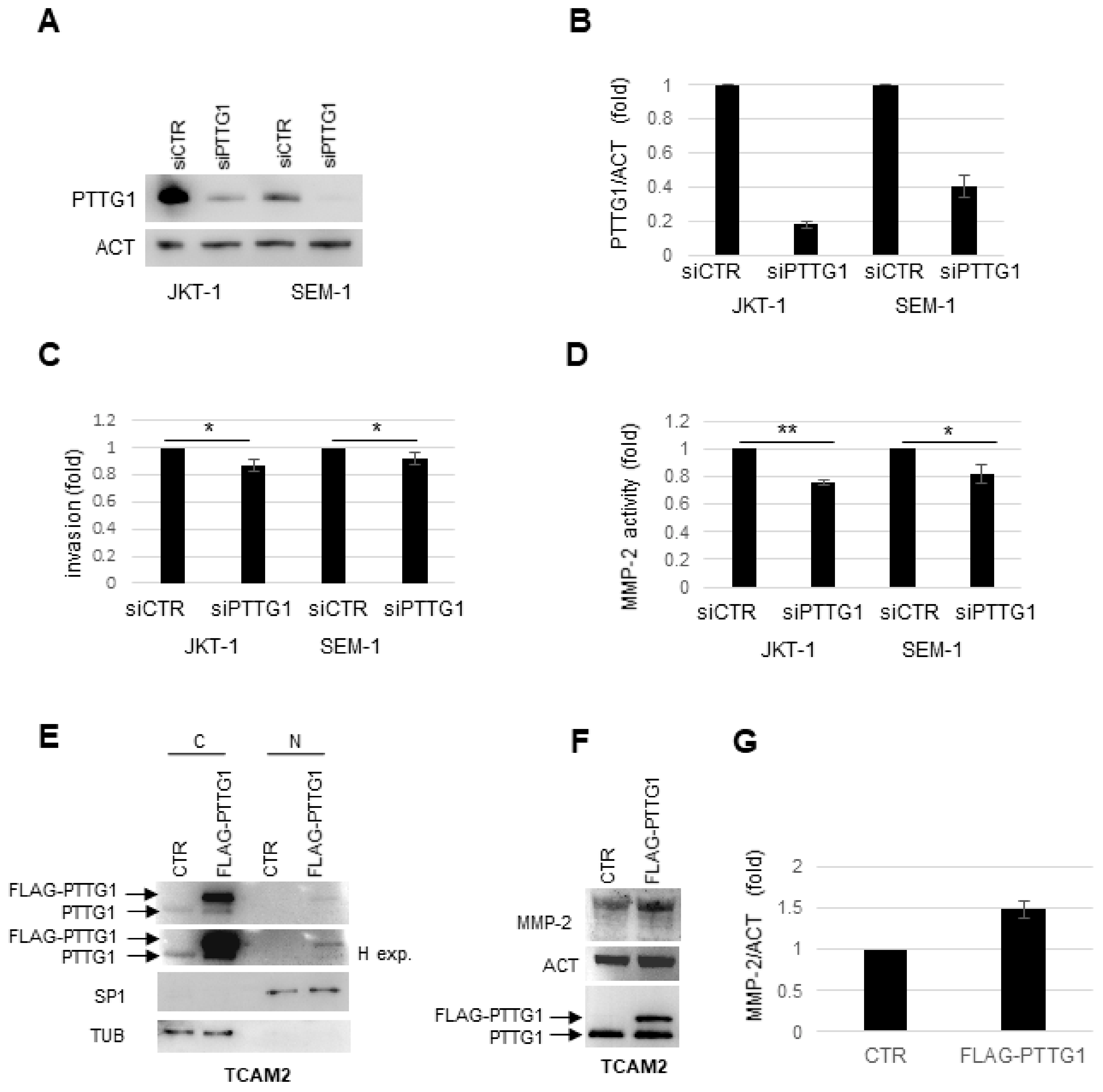 Cancers 13 00212 g003