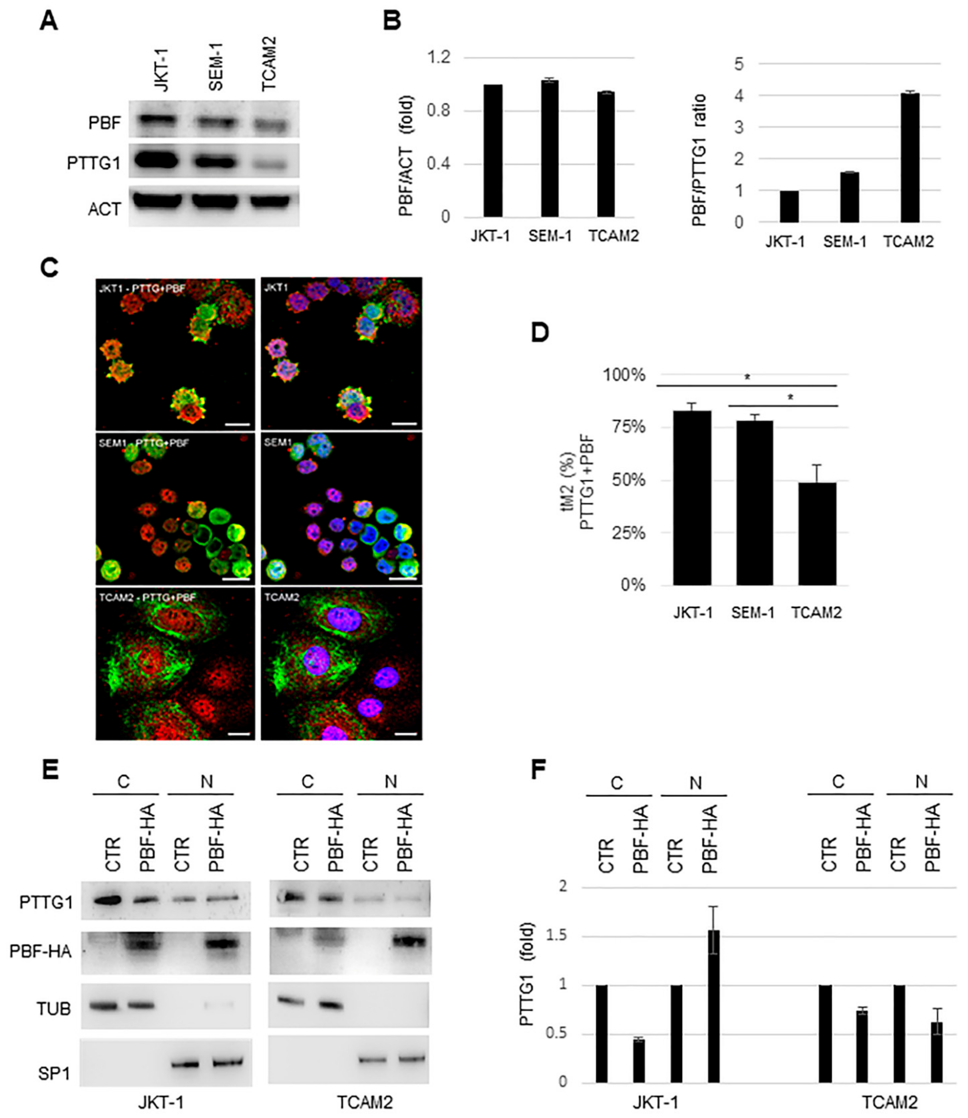 Cancers 13 00212 g004