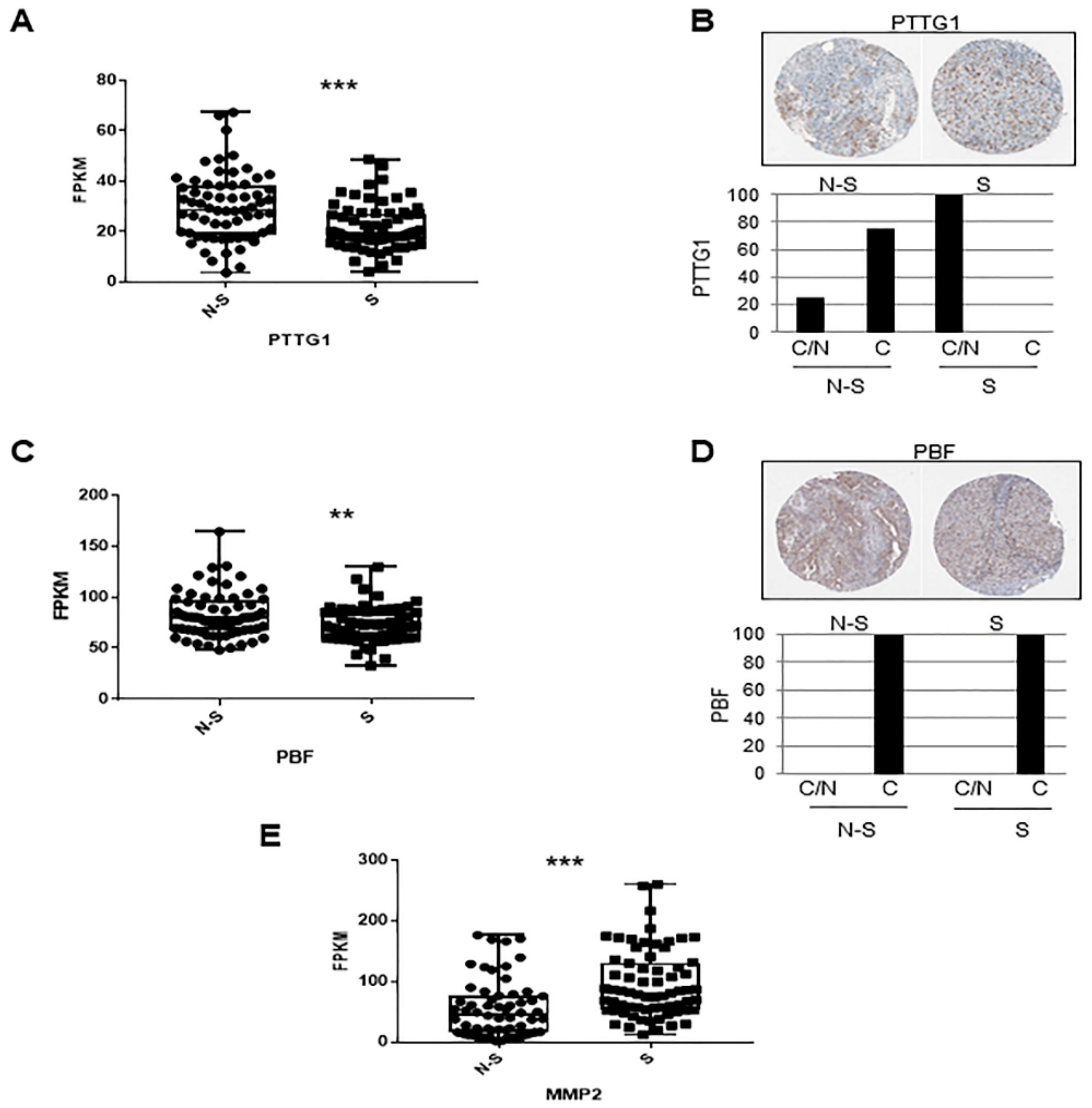 Cancers 13 00212 g005