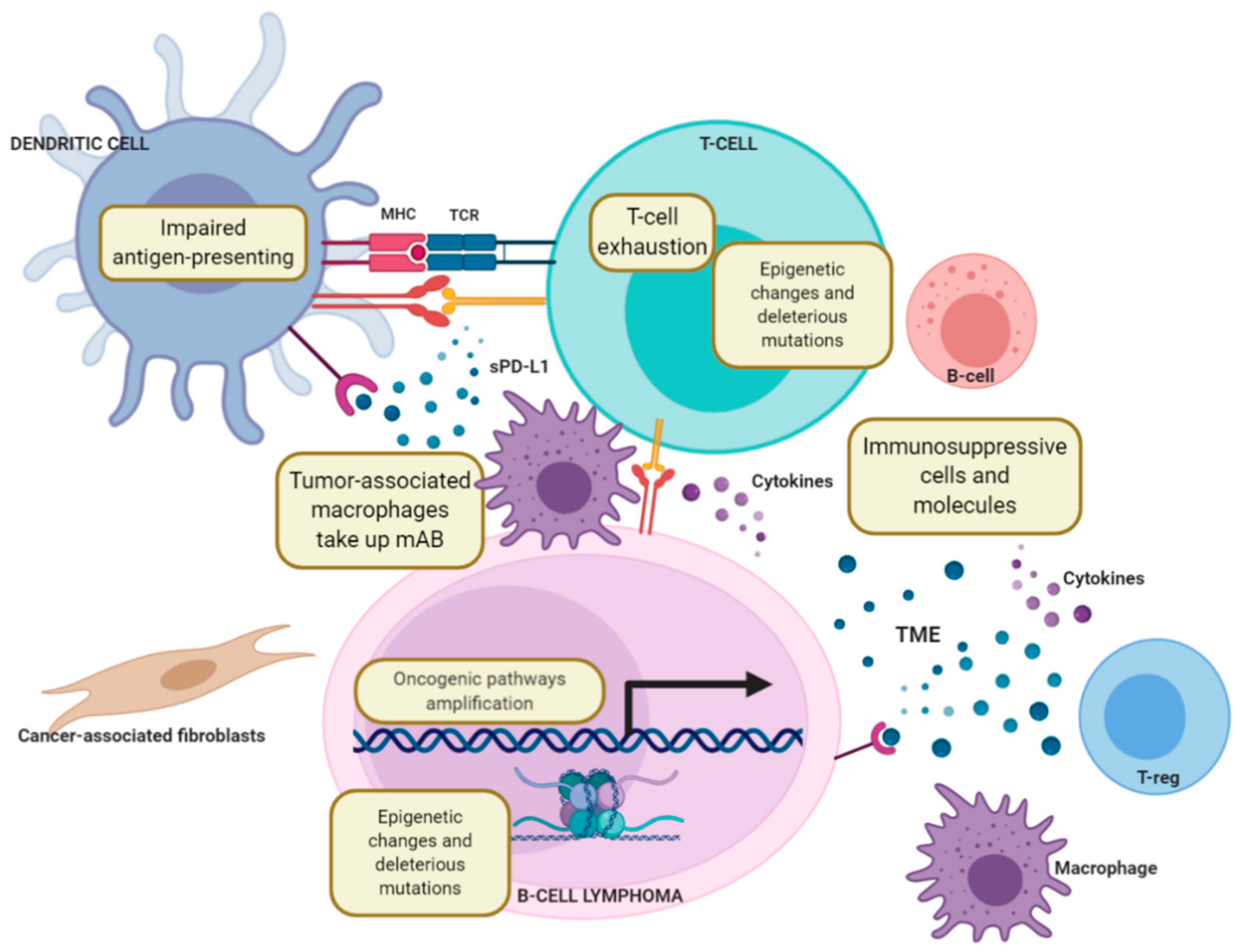 Cancers 13 00214 g003