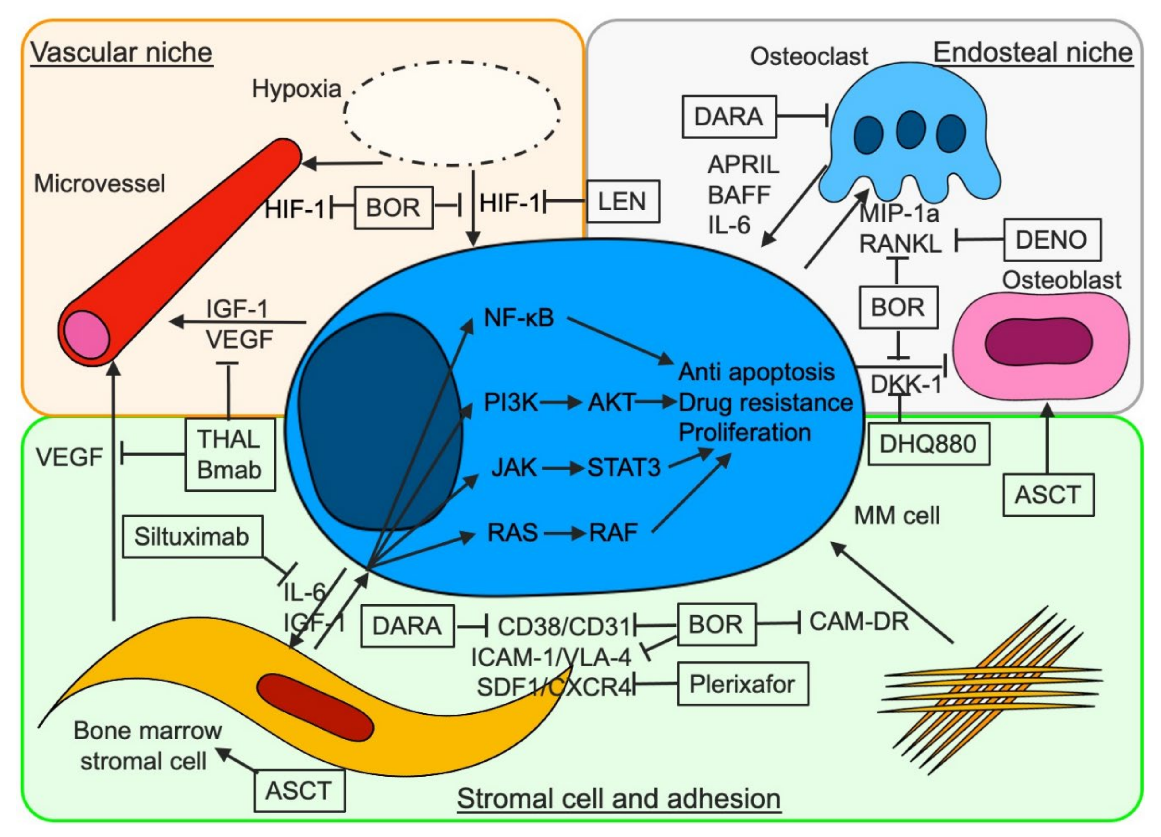 Cancers 13 00215 g001 Cancers 13 00215 g001