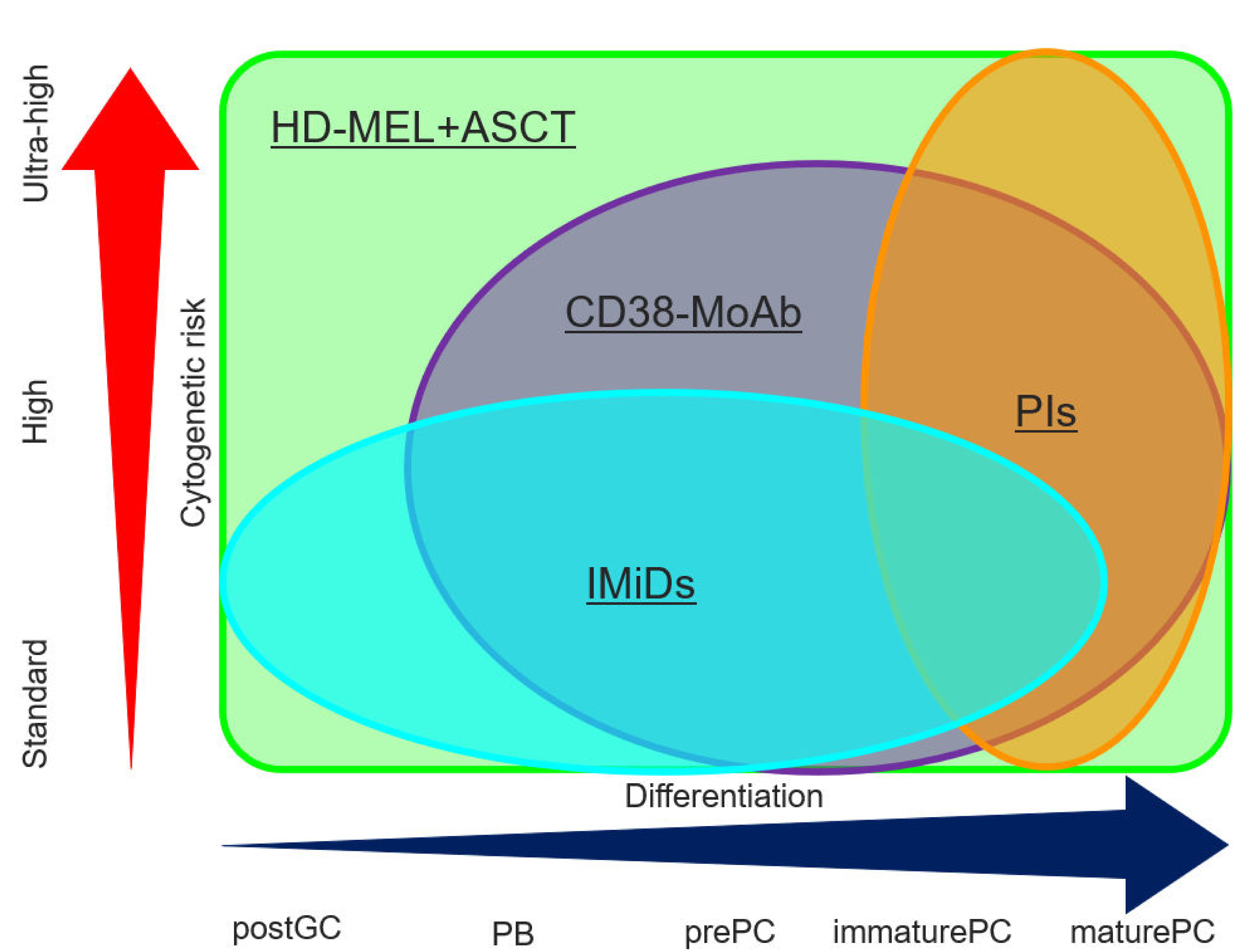 Cancers 13 00215 g002 Cancers 13 00215 g002