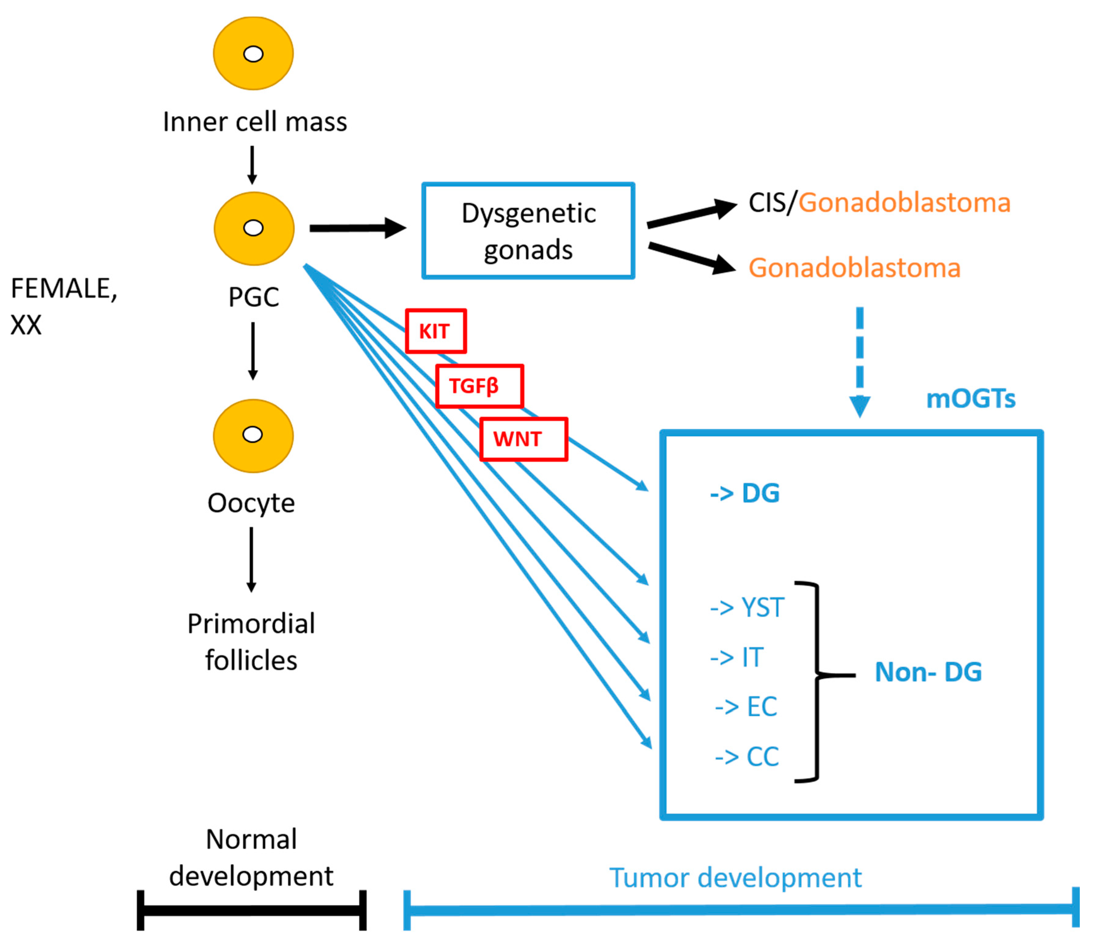 Cancers 13 00220 g001