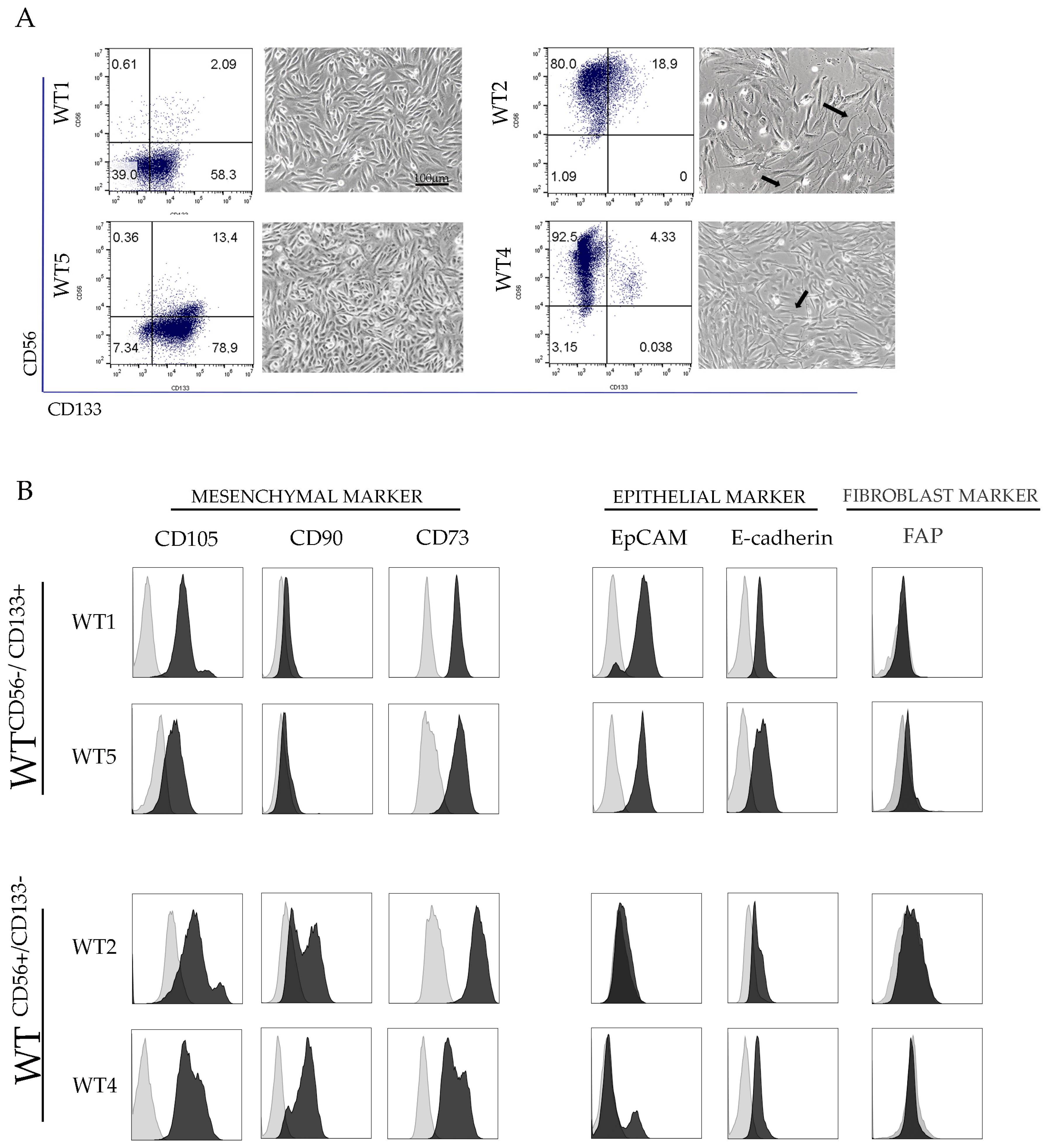 Cancers 13 00224 g001