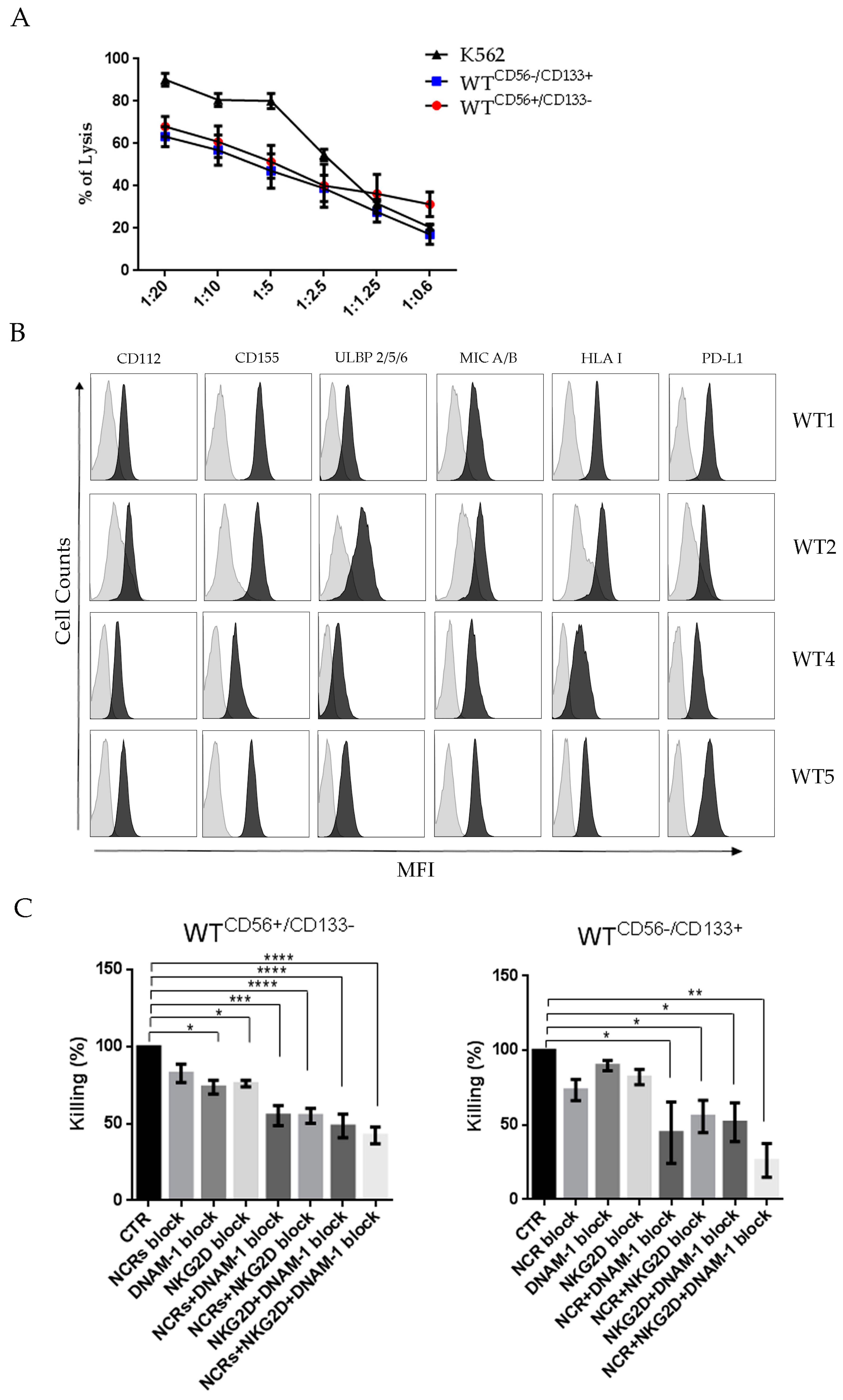 Cancers 13 00224 g002