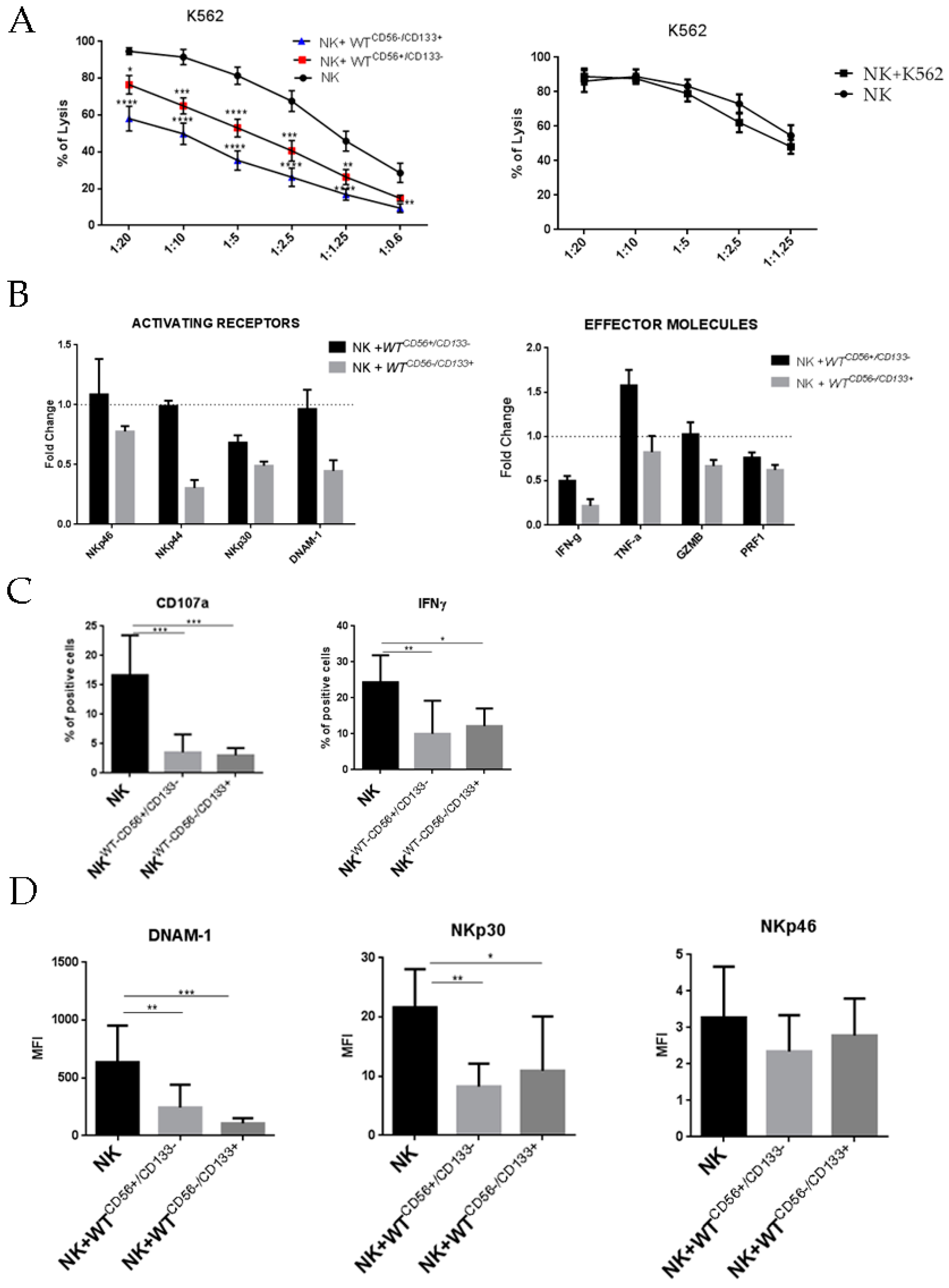 Cancers 13 00224 g003