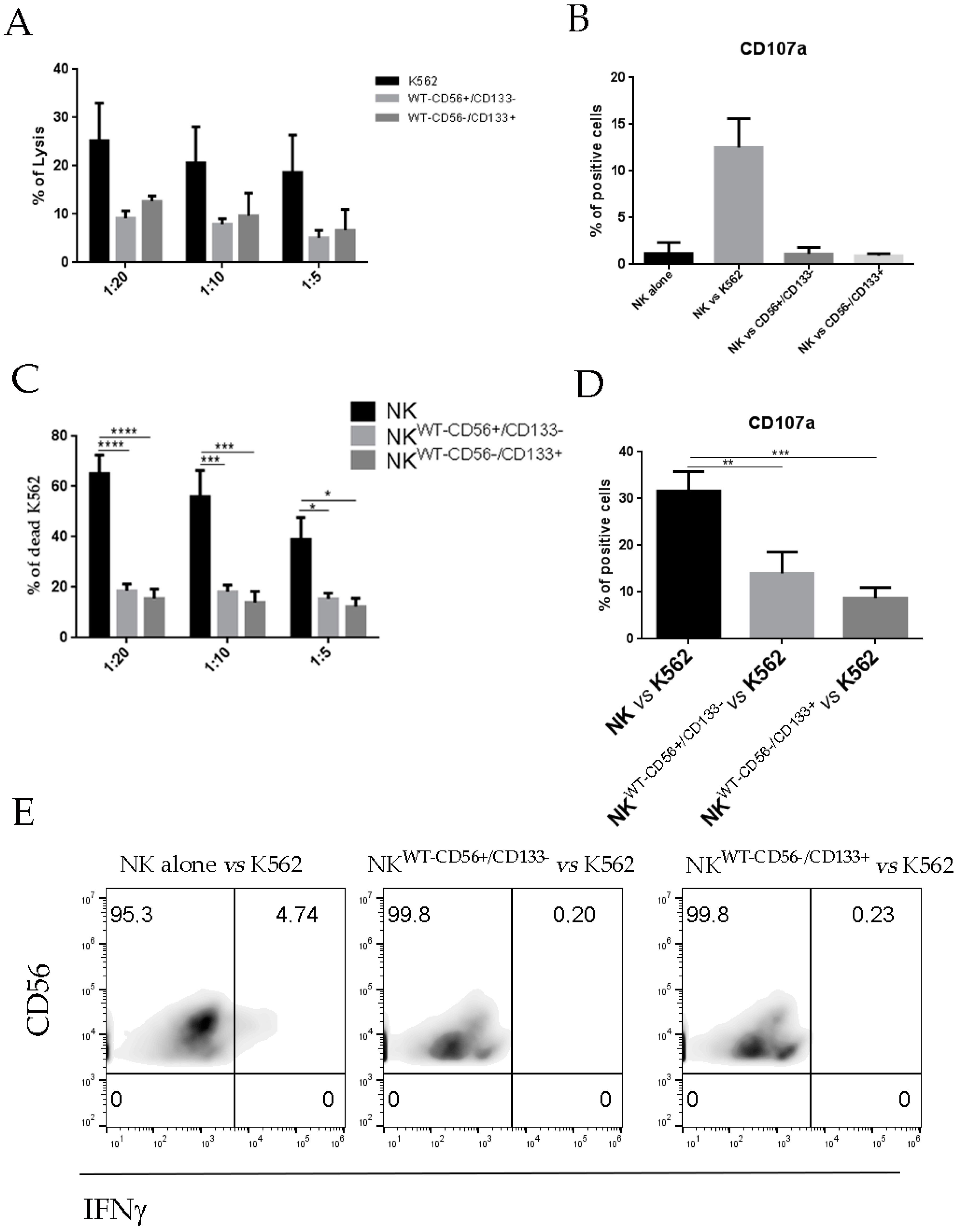 Cancers 13 00224 g004