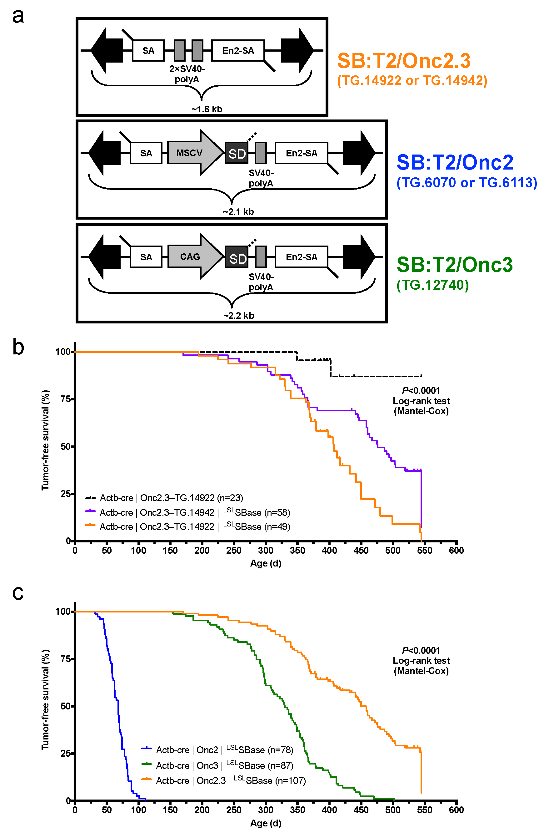 Cancers 13 00225 g001