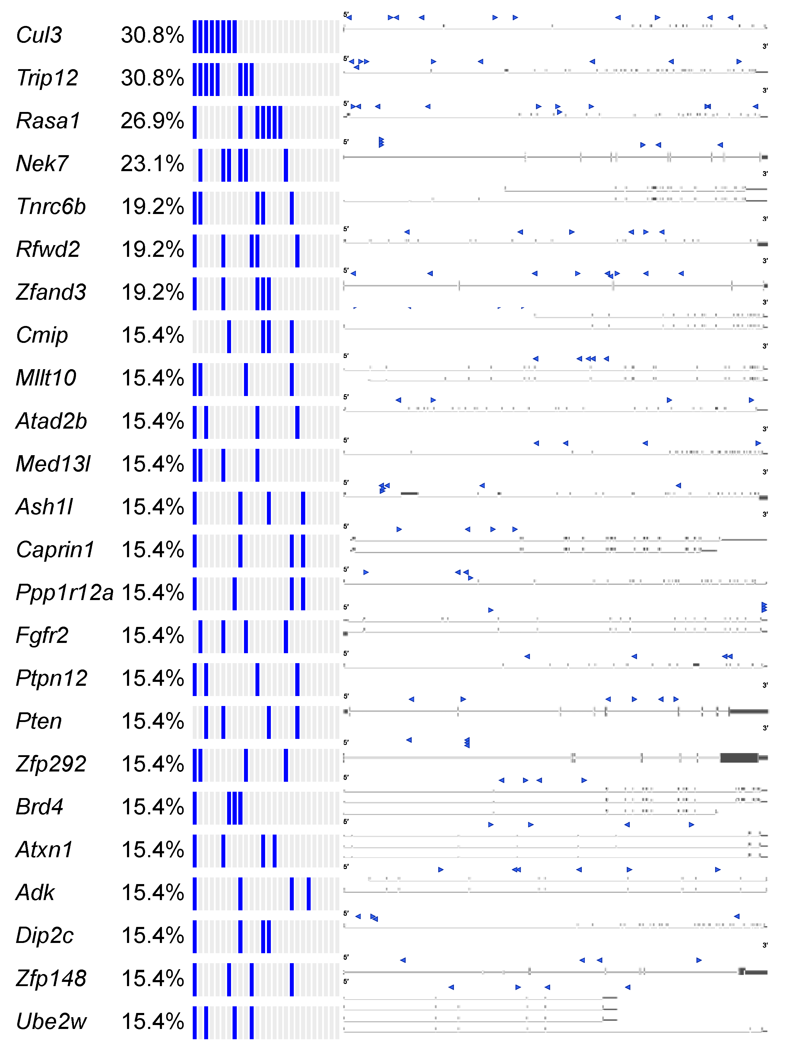 Cancers 13 00225 g006